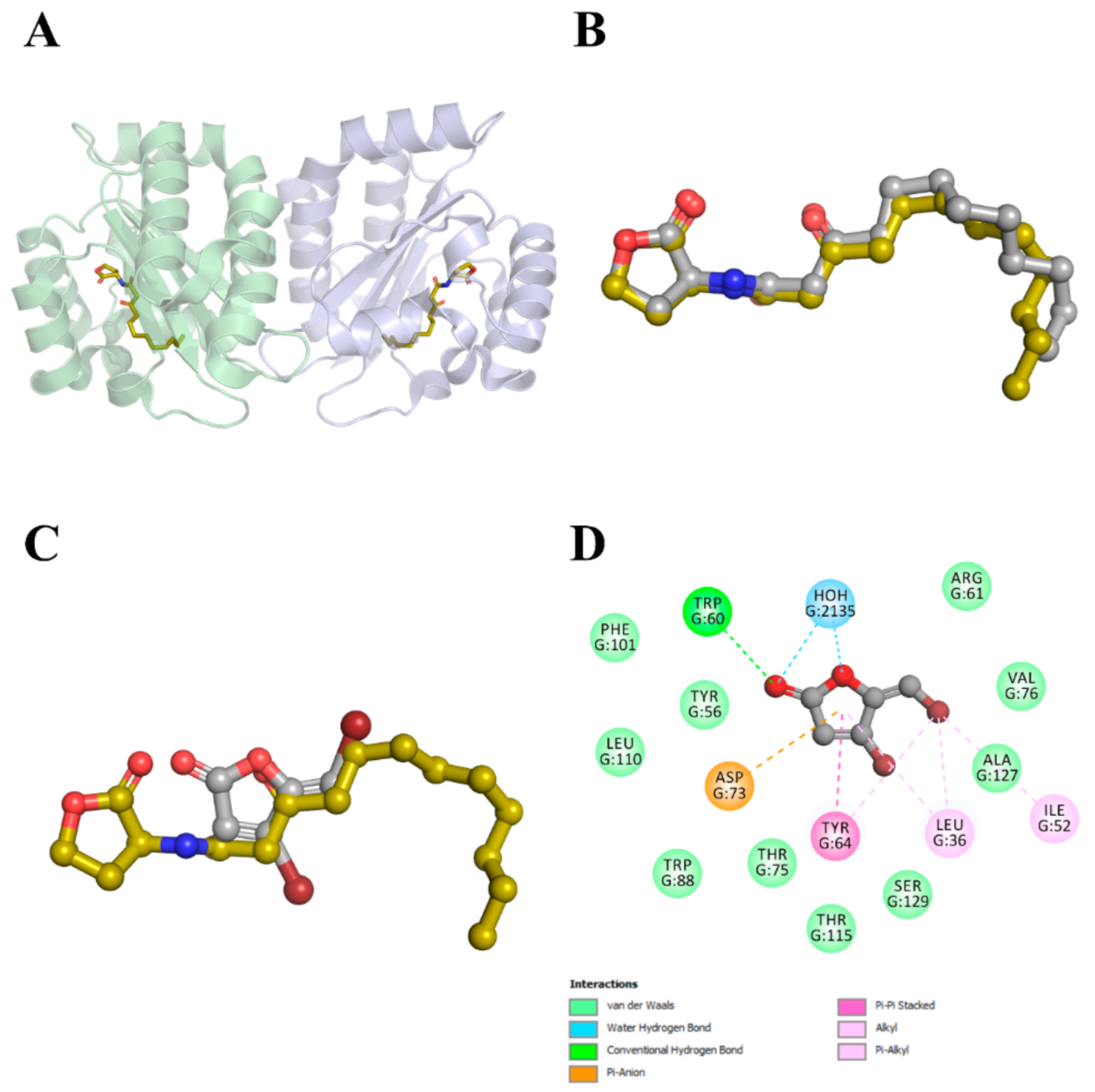Molecules 26 01620 g004