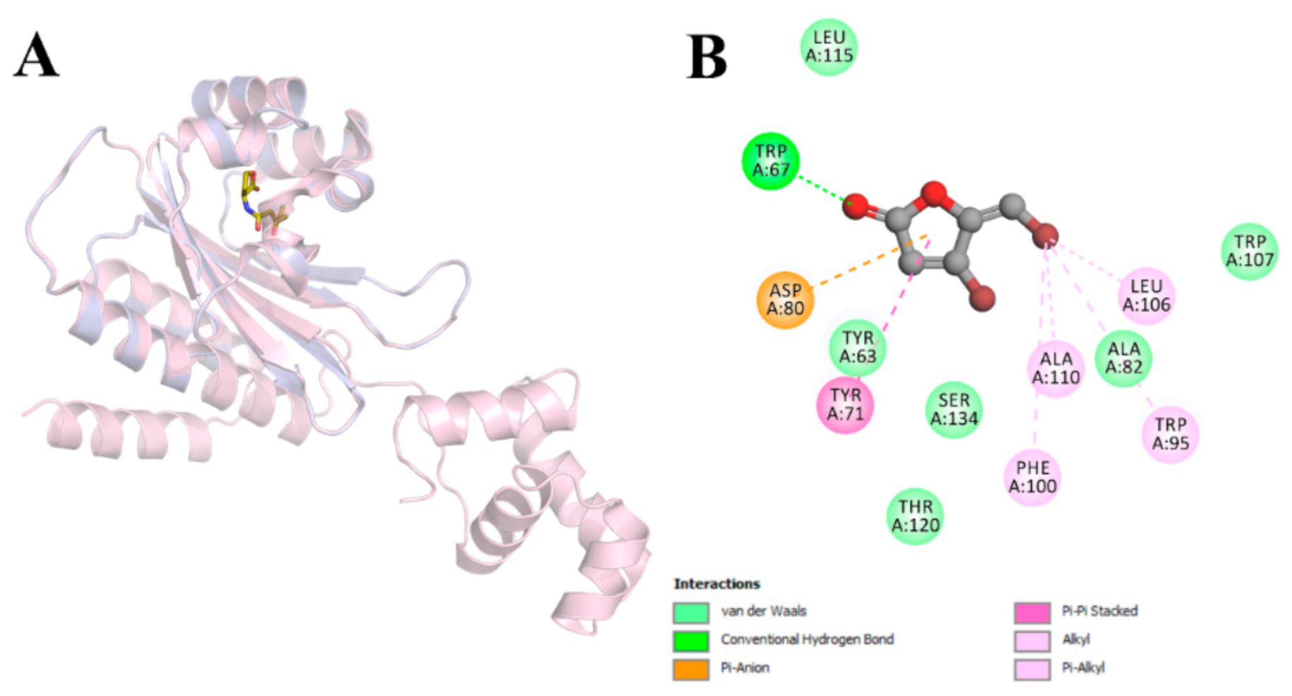 Molecules 26 01620 g005