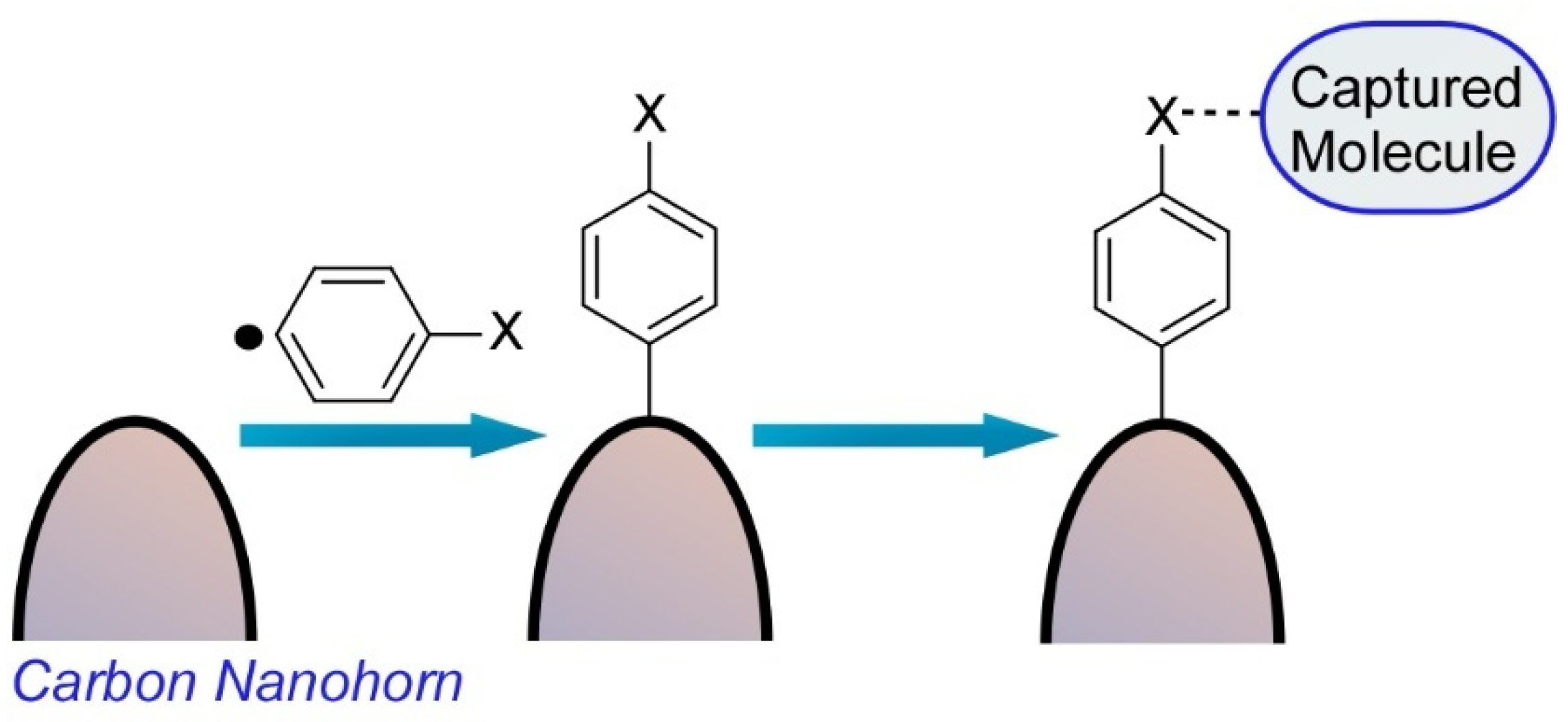 Molecules 26 01621 g003