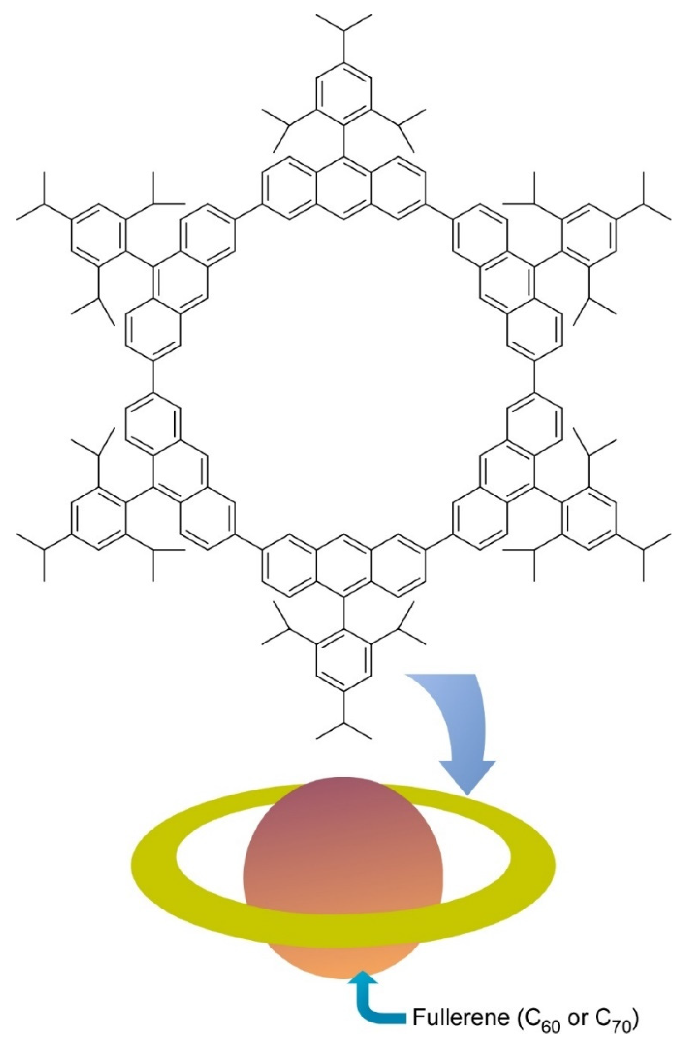Molecules 26 01621 g005