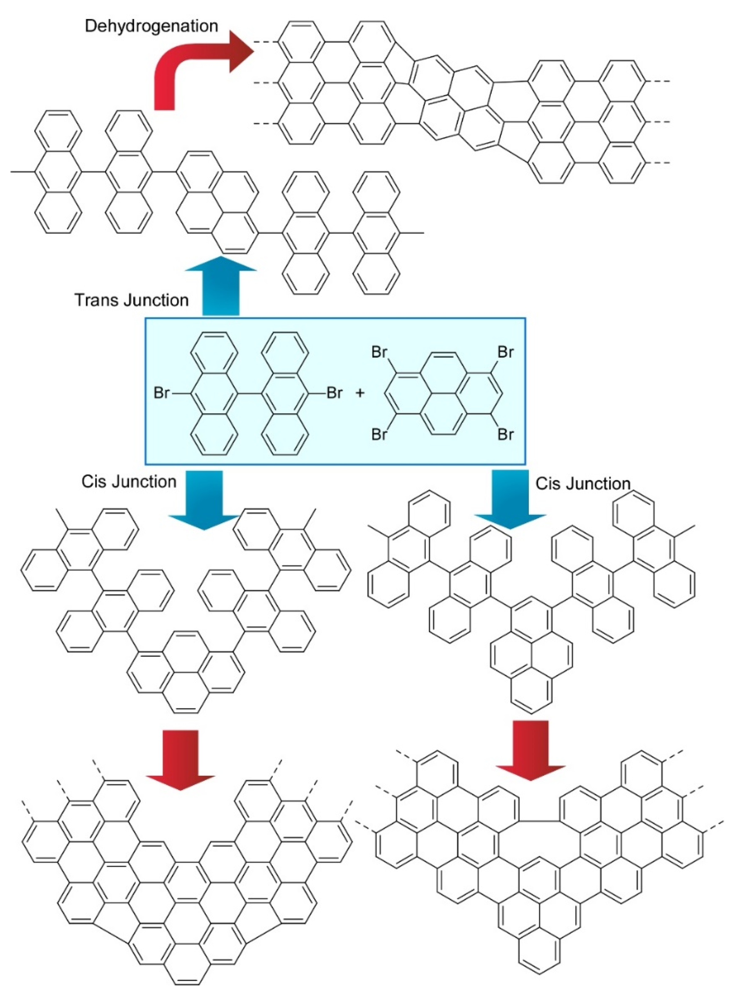 Molecules 26 01621 g008