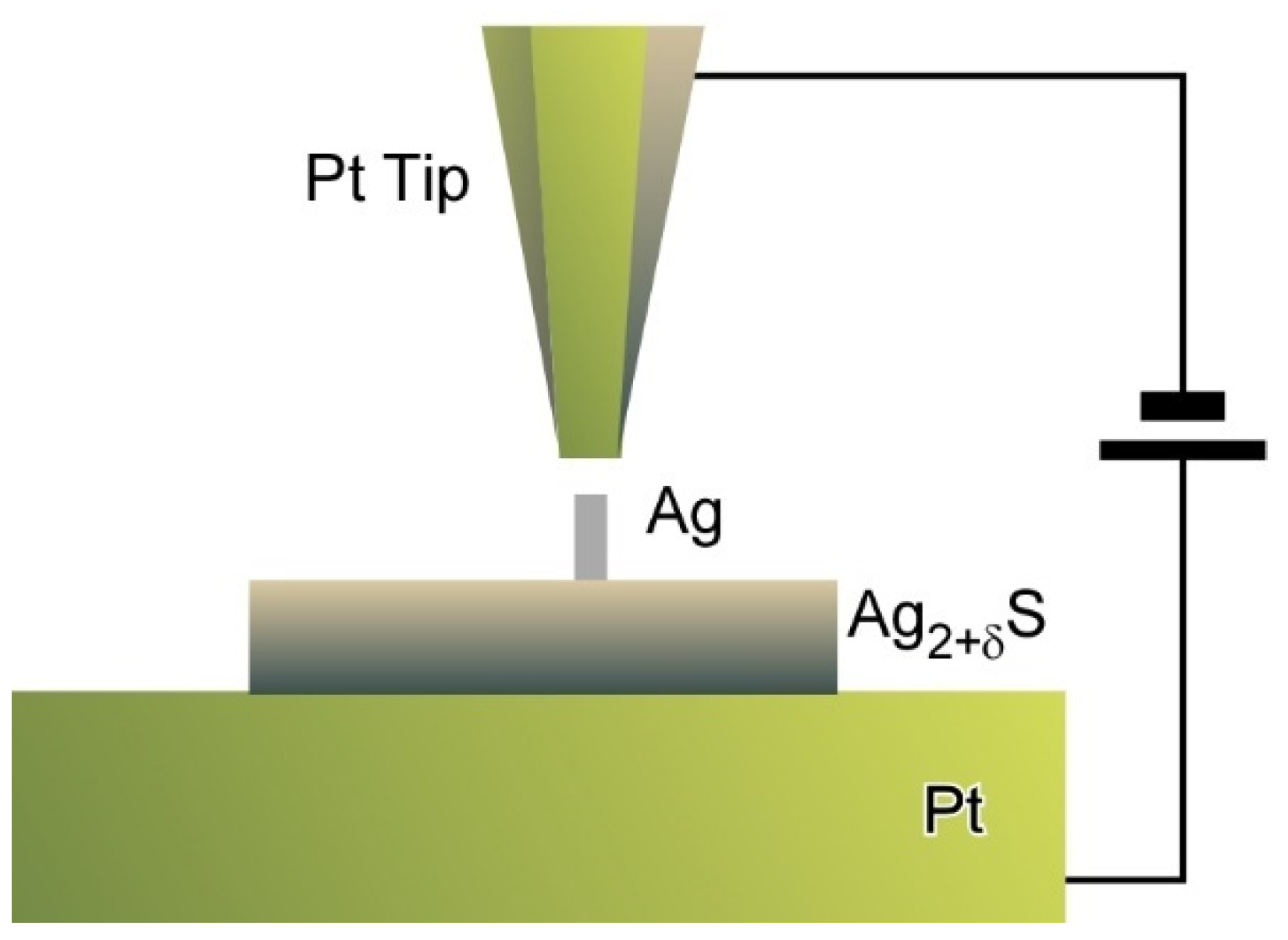 Molecules 26 01621 g011