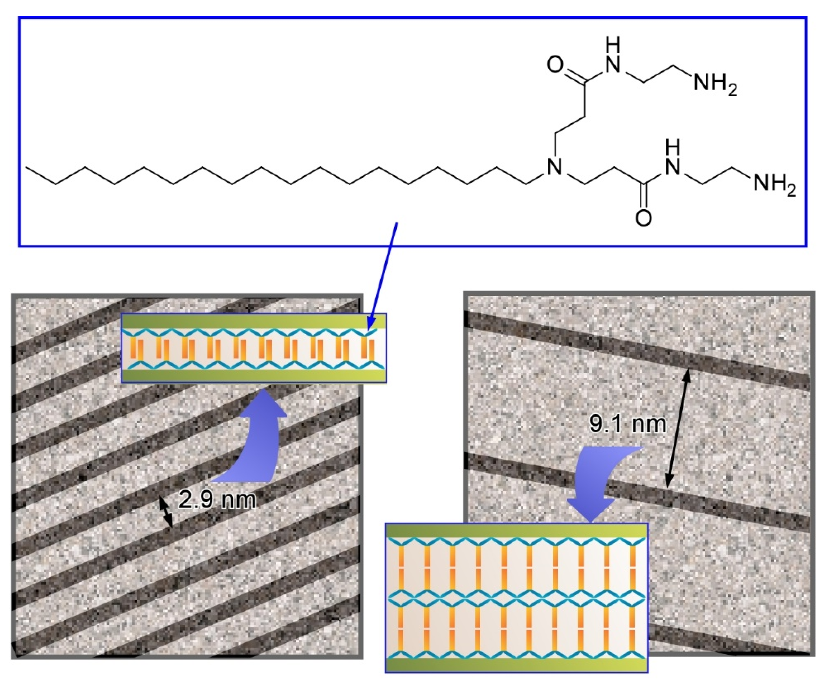 Molecules 26 01621 g013