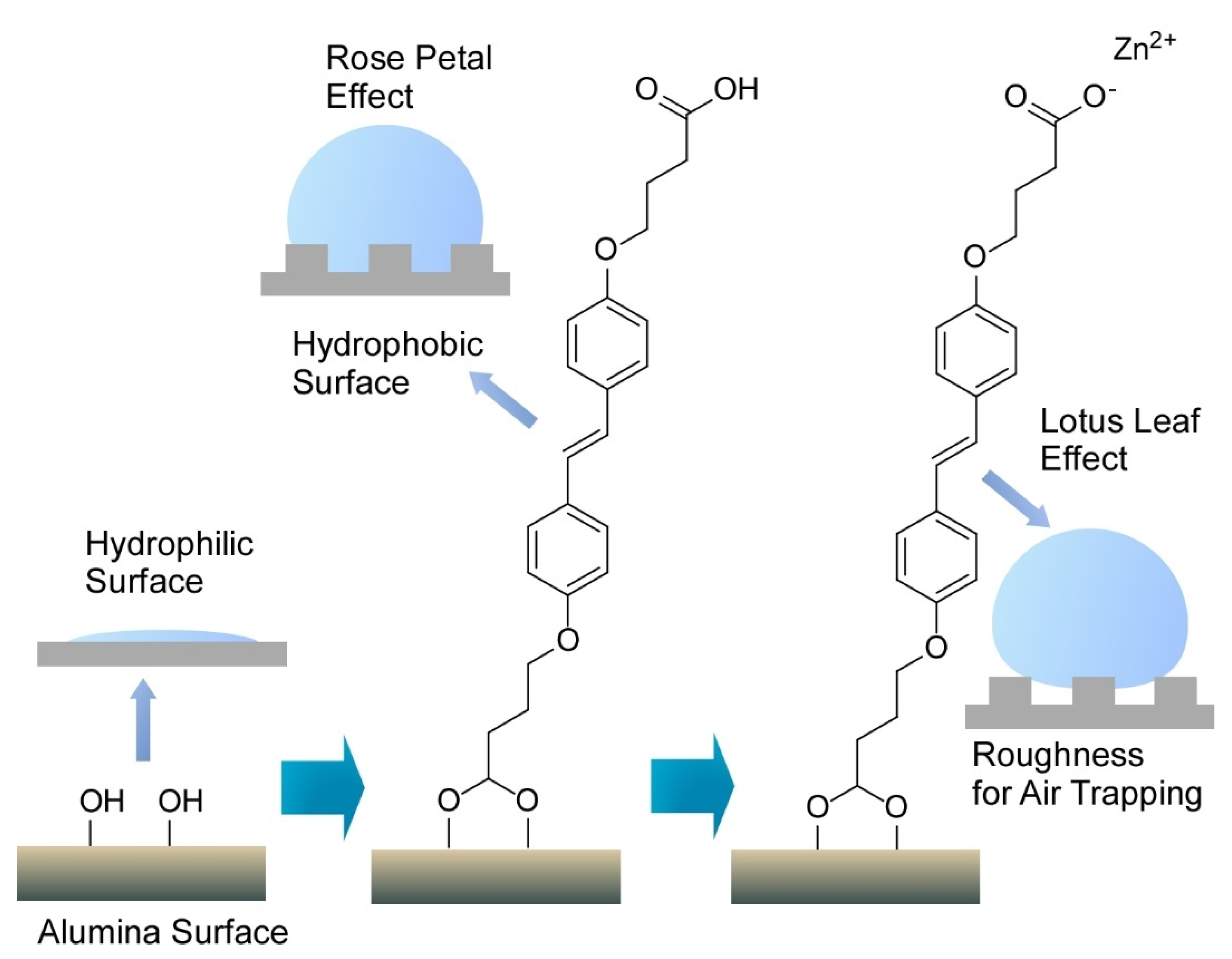 Molecules 26 01621 g014