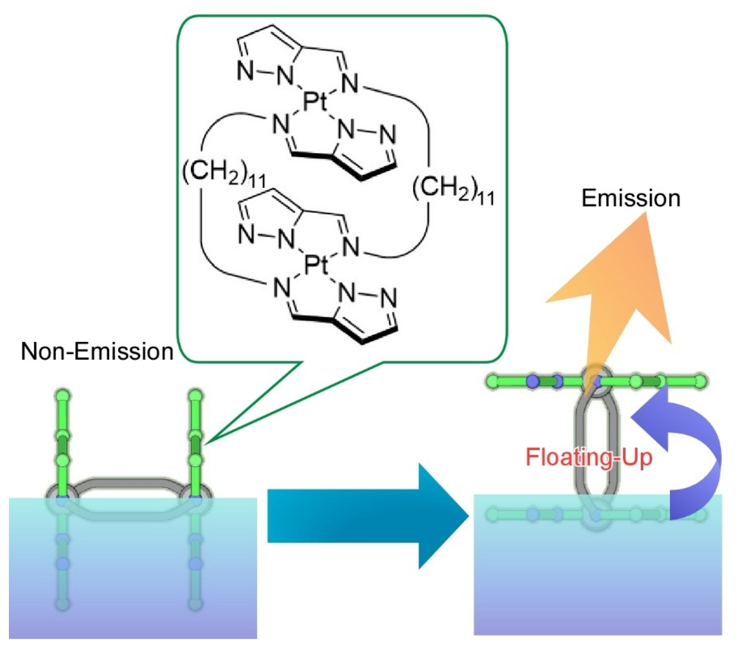 Molecules 26 01621 g015