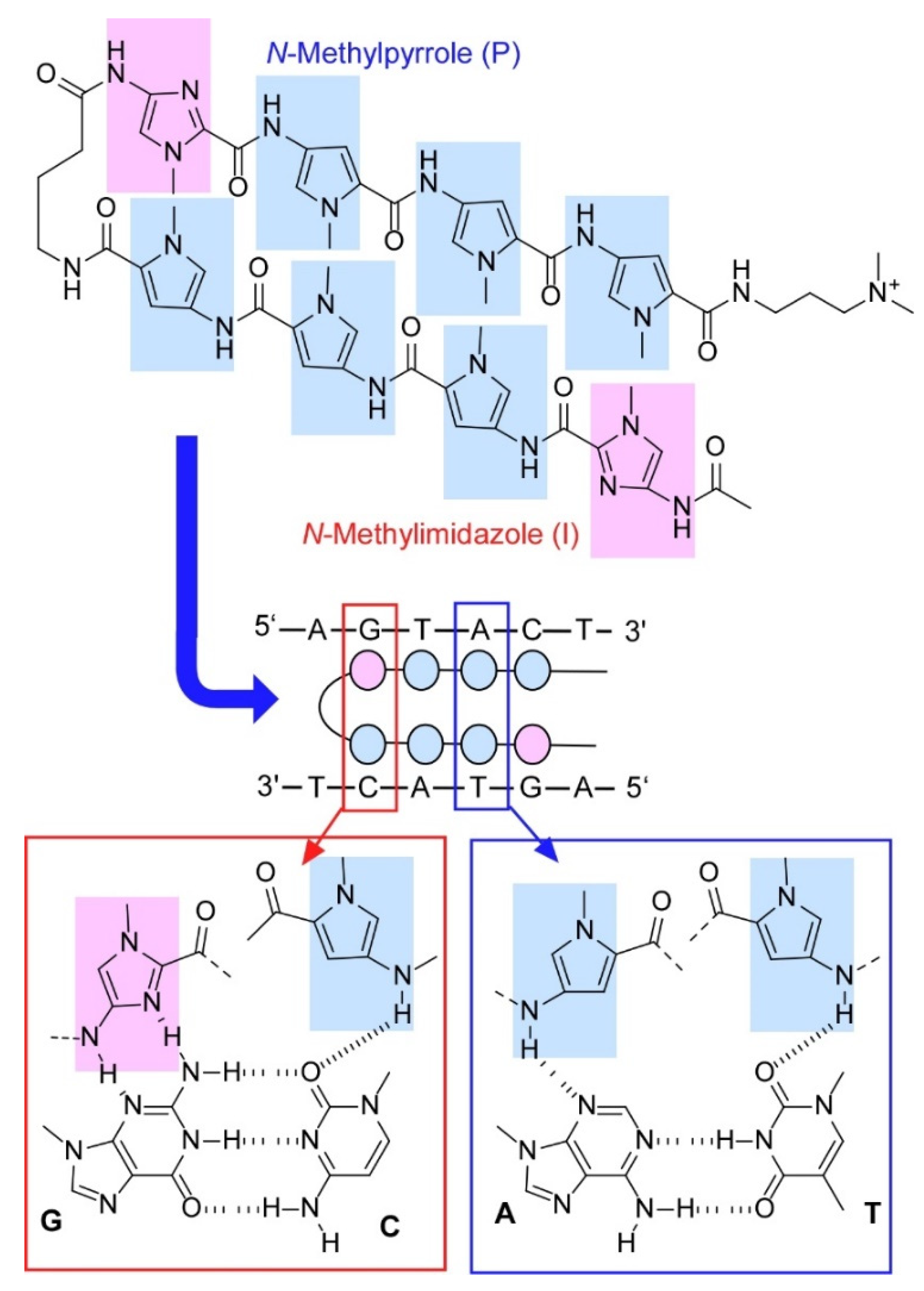 Molecules 26 01621 g022