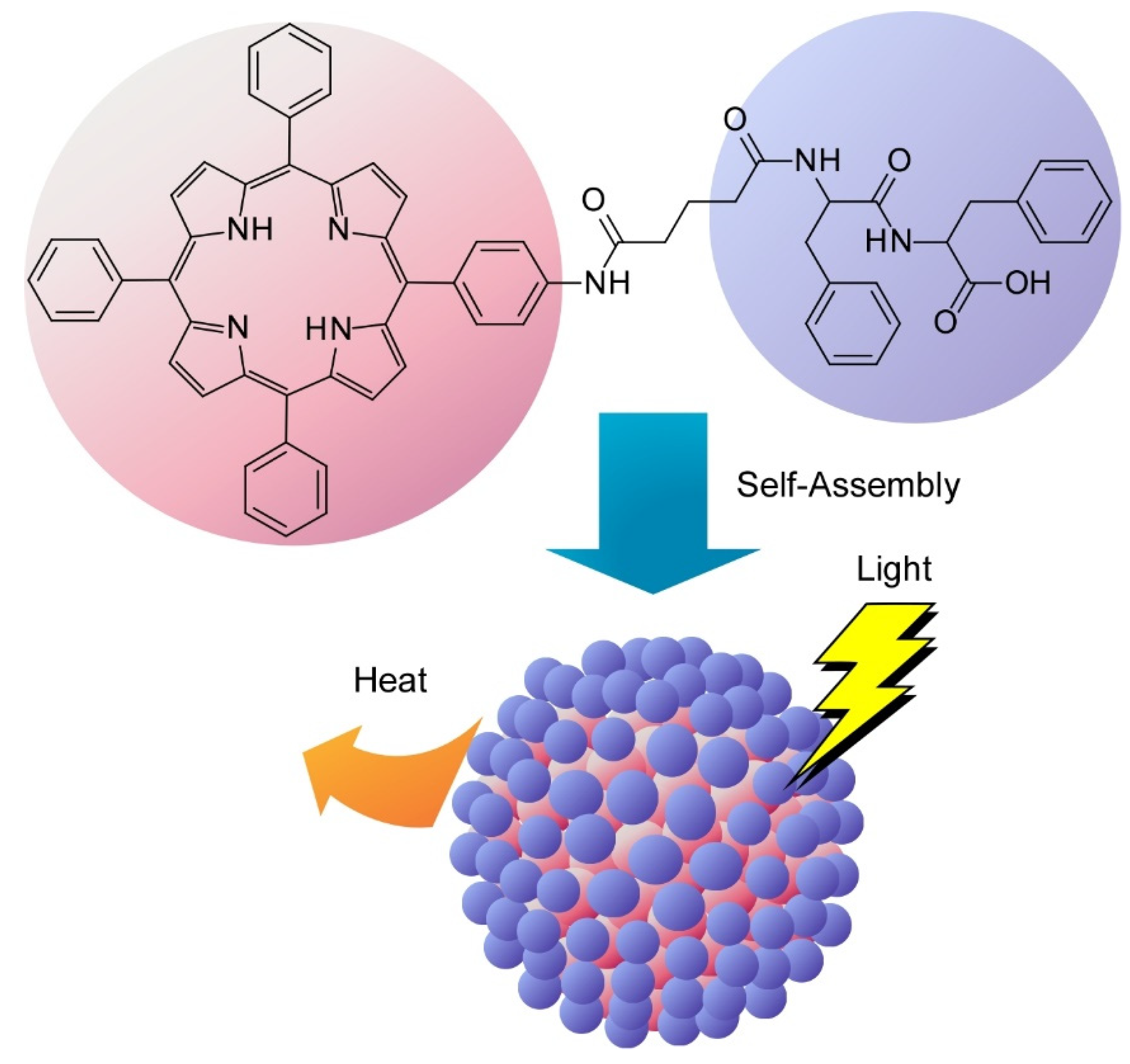 Molecules 26 01621 g024
