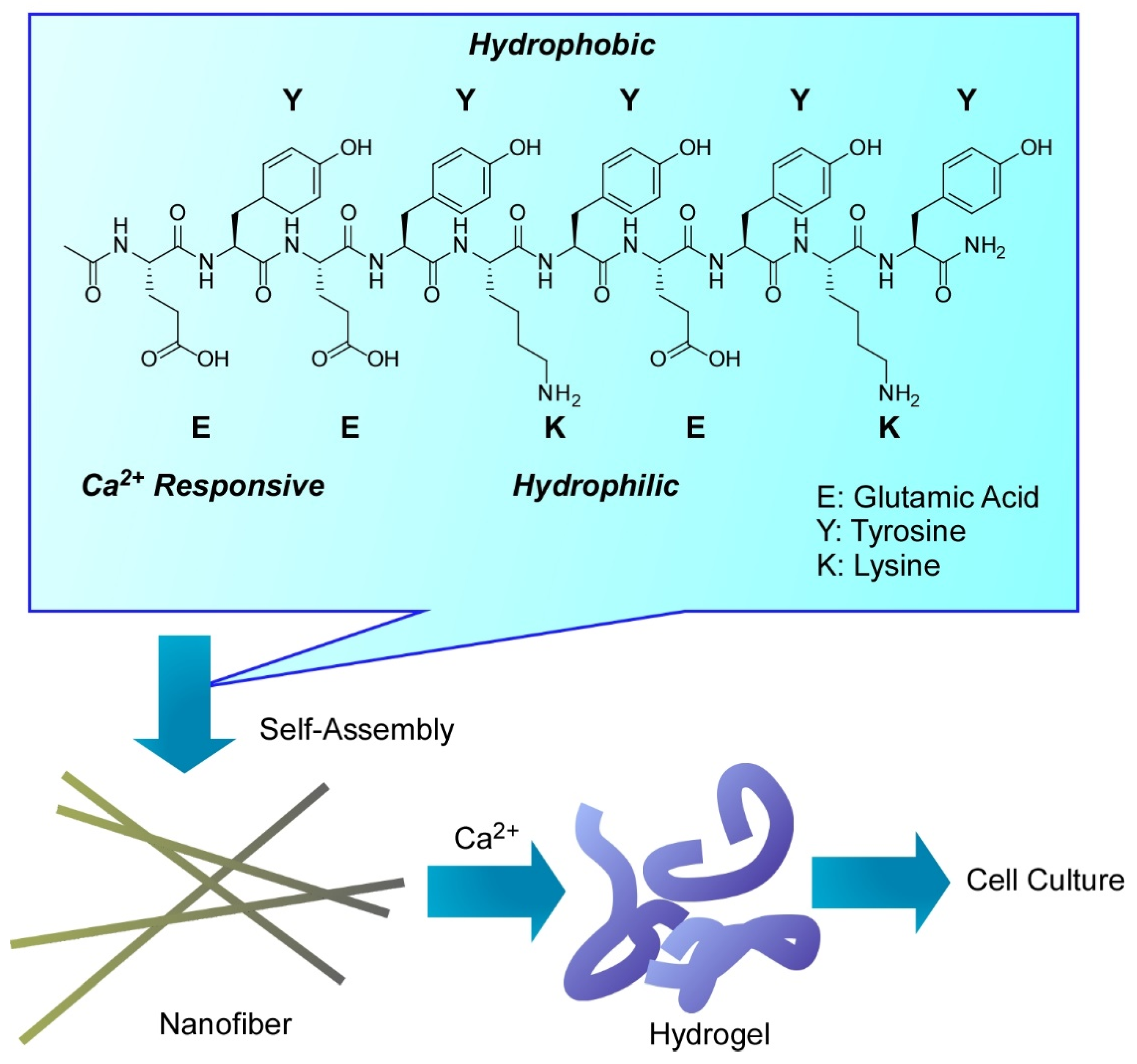 Molecules 26 01621 g026