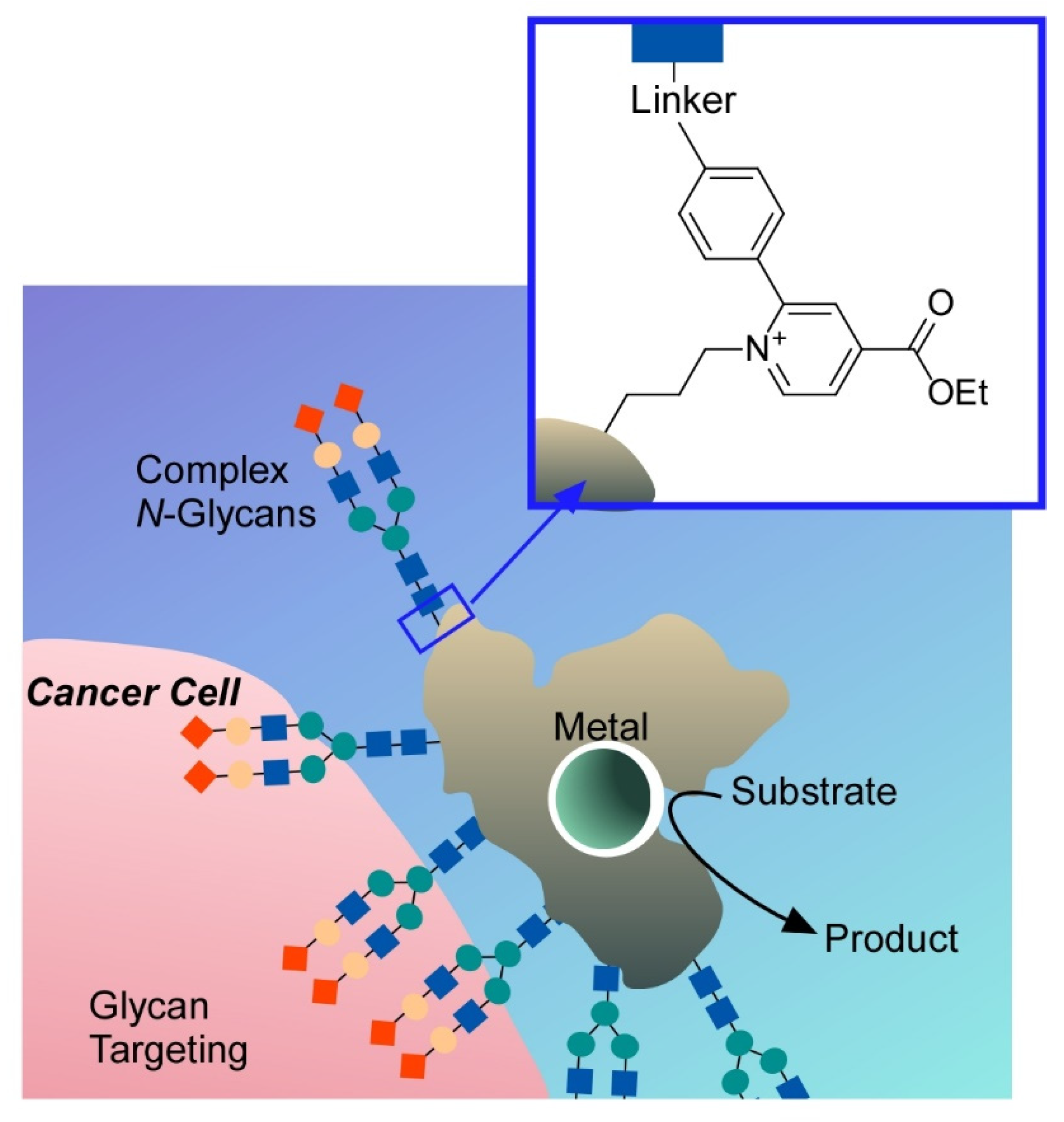 Molecules 26 01621 g027