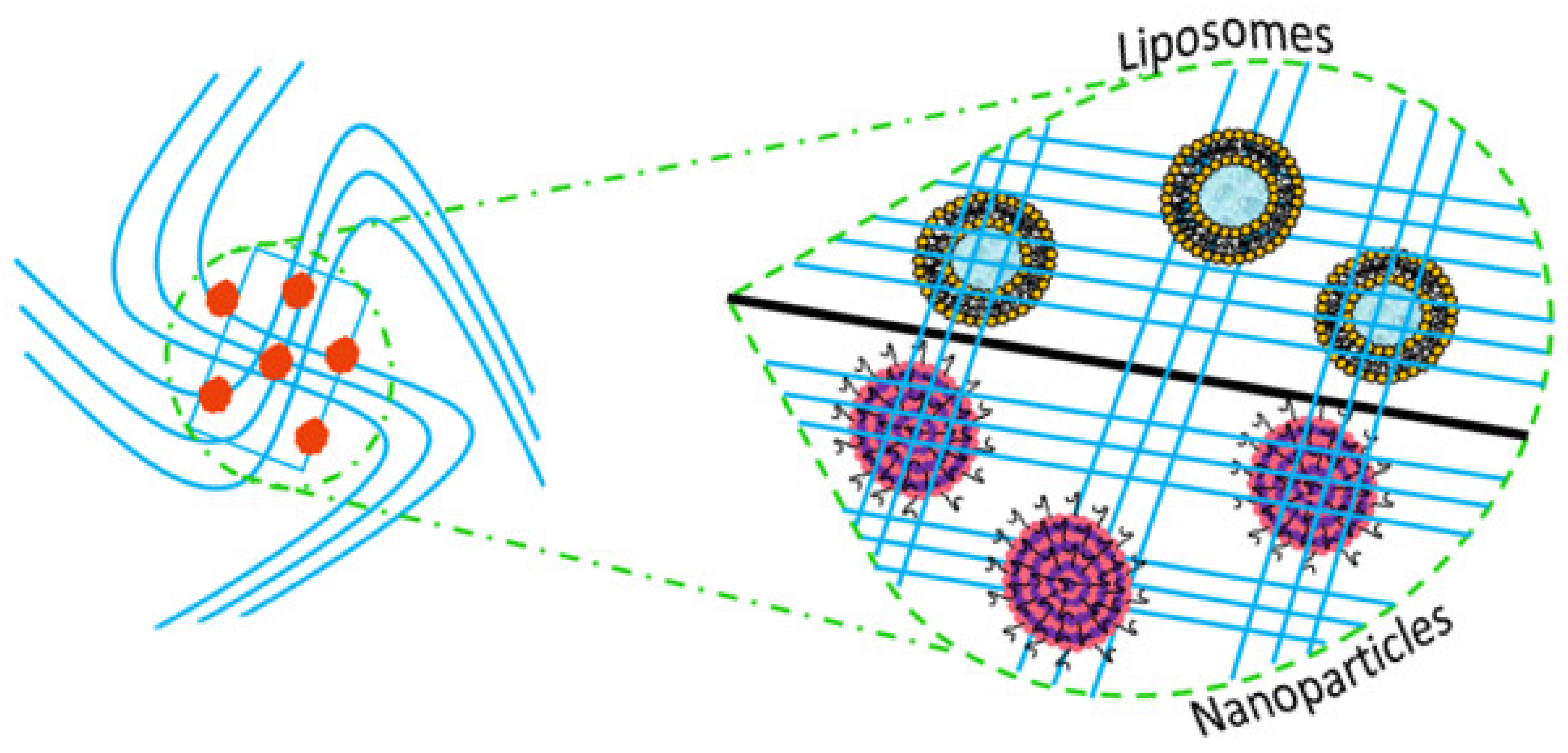 Molecules 26 01643 g003 Molecules 26 01643 g003