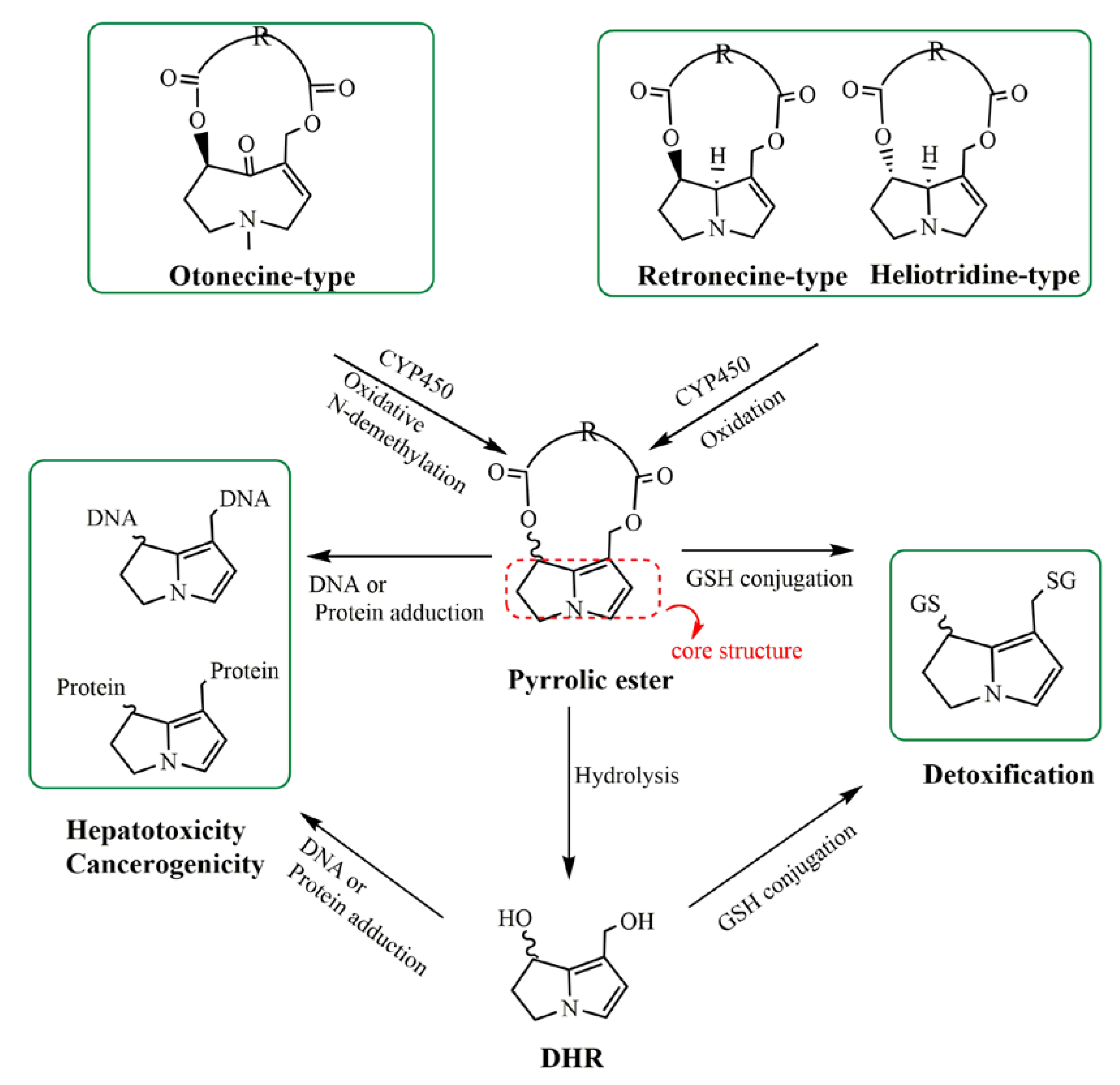 Molecules 26 01648 g001 Molecules 26 01648 g001