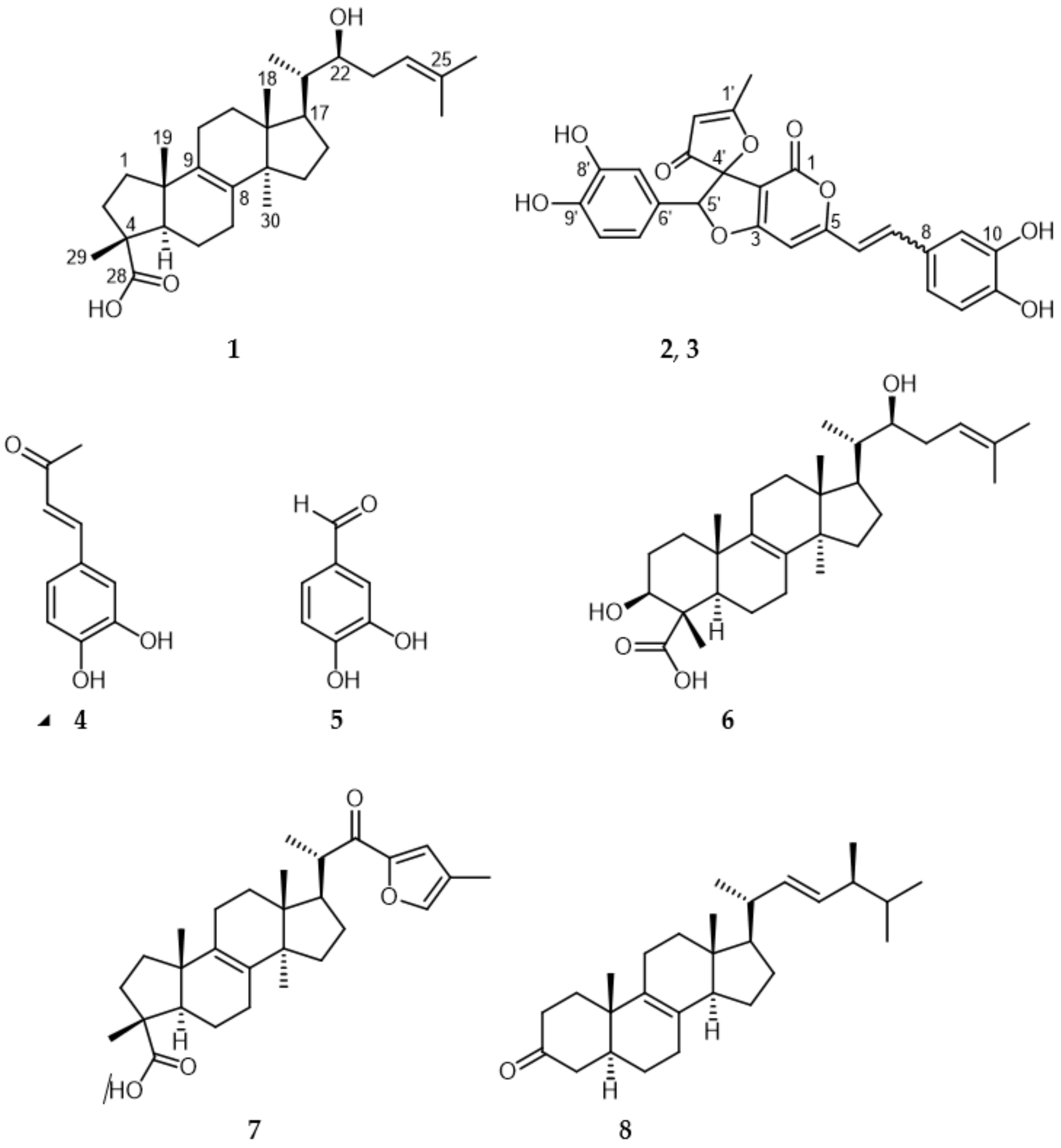 Molecules 26 01657 g001 Molecules 26 01657 g001