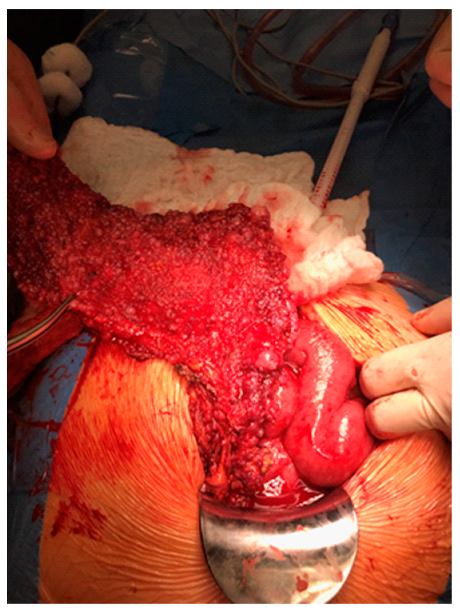 Molecules 26 01659 g001