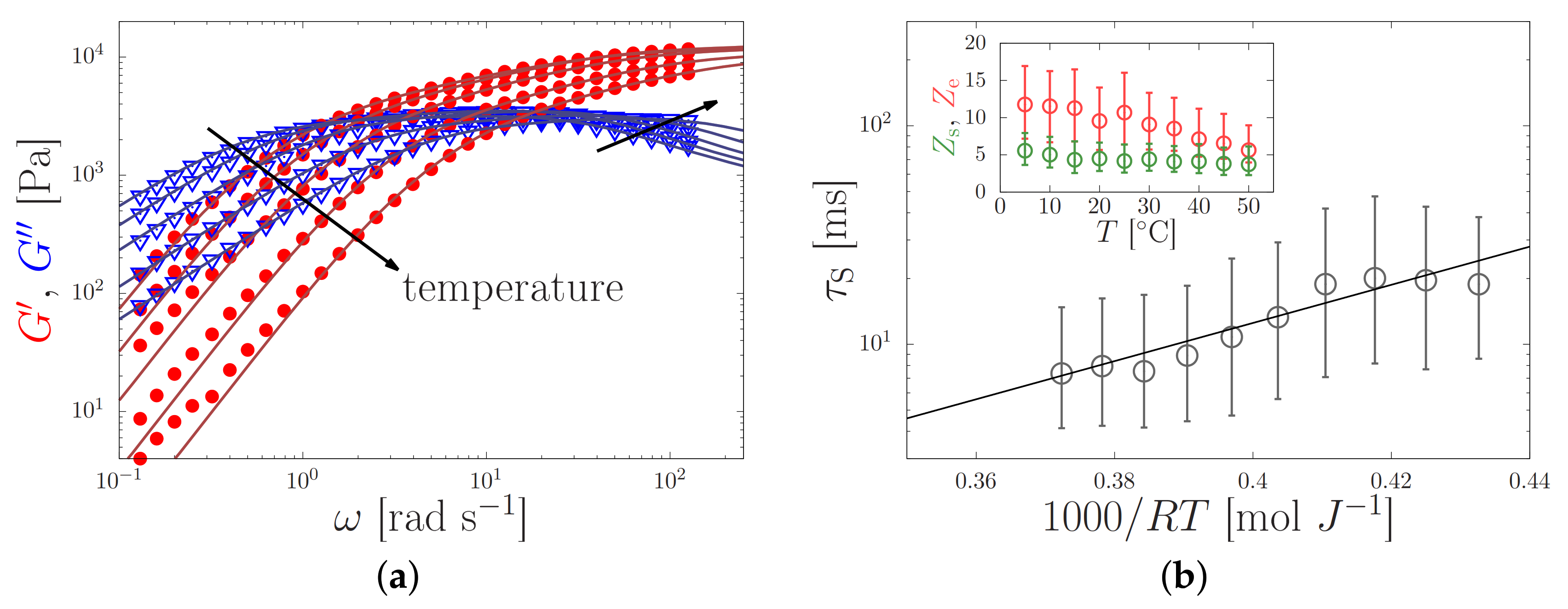 Molecules 26 01663 g004