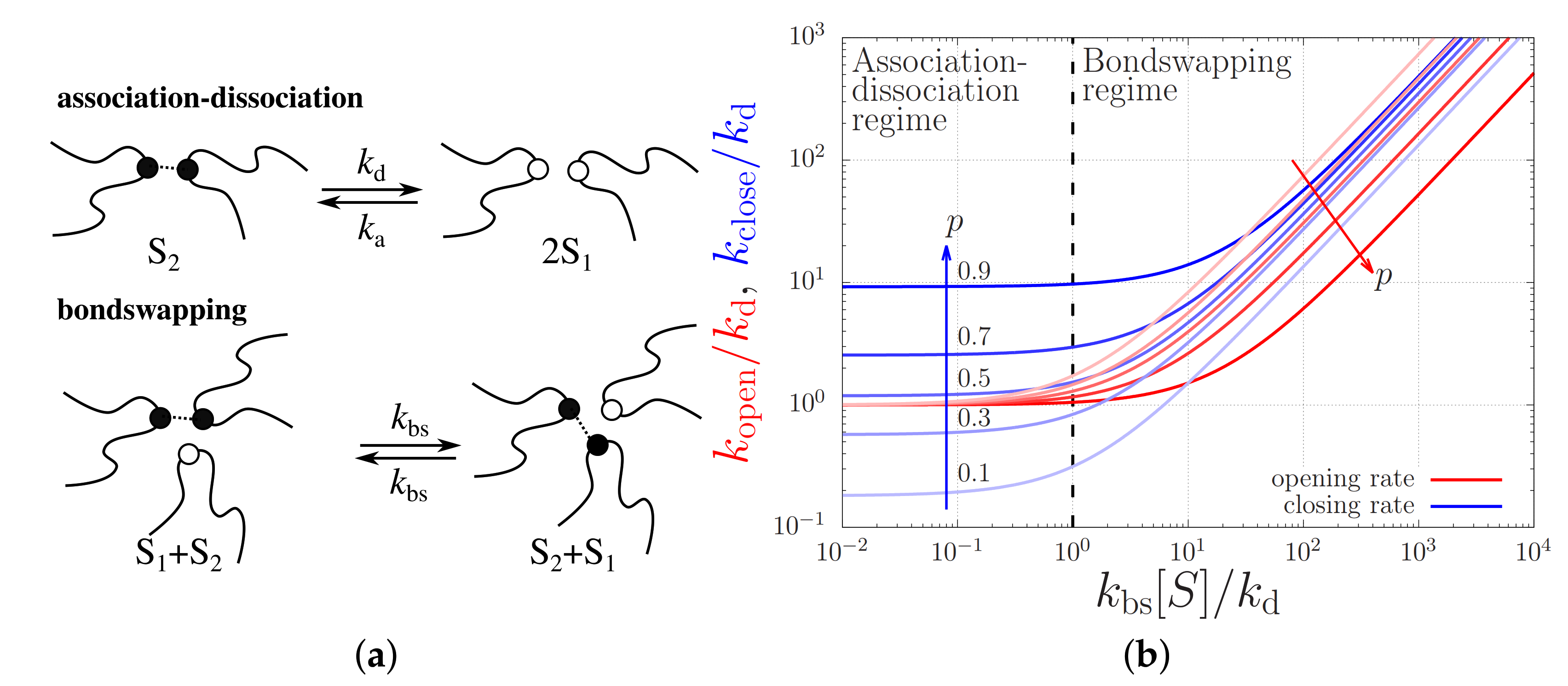 Molecules 26 01663 g005