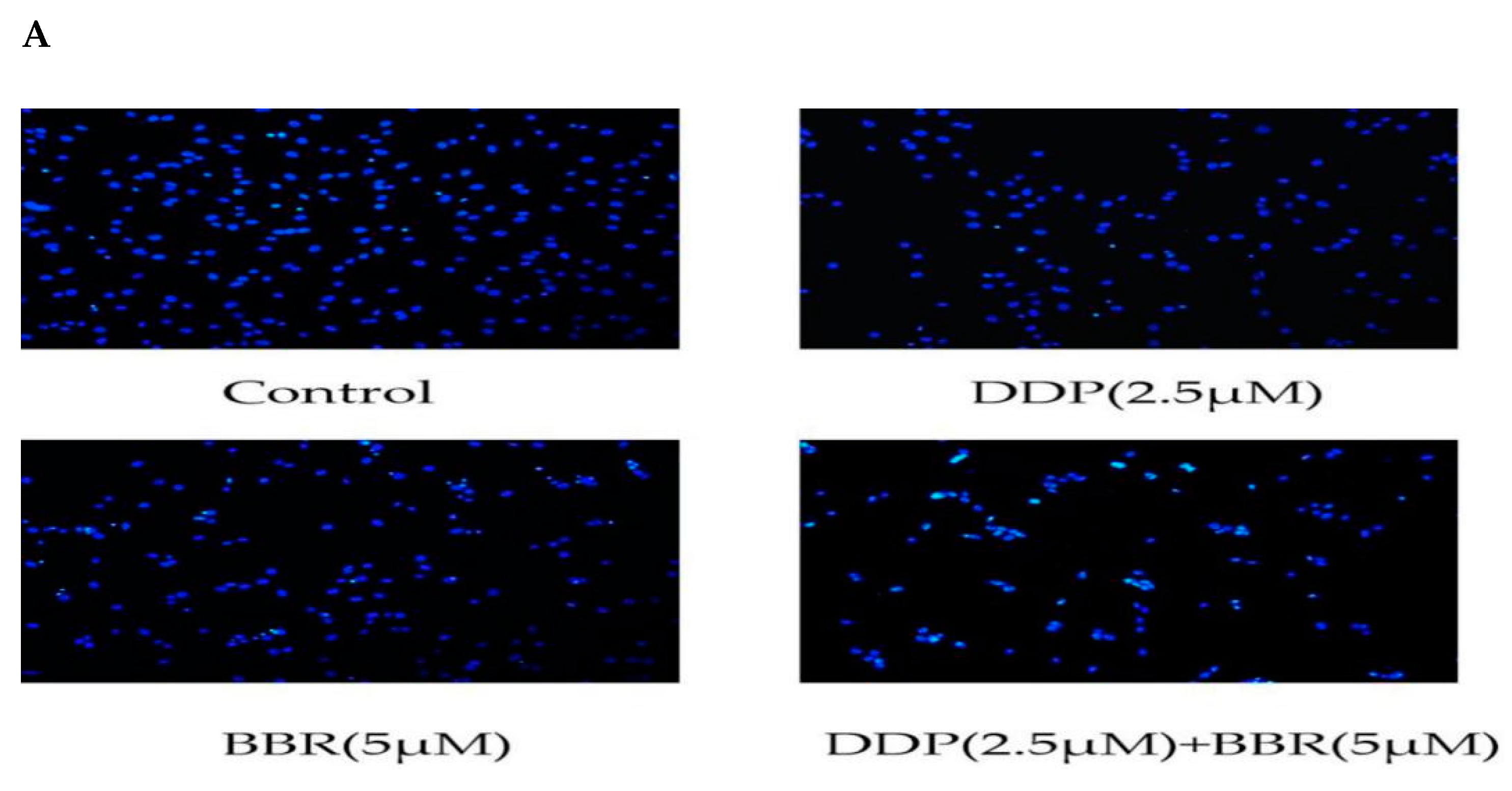 Molecules 26 01666 g004a