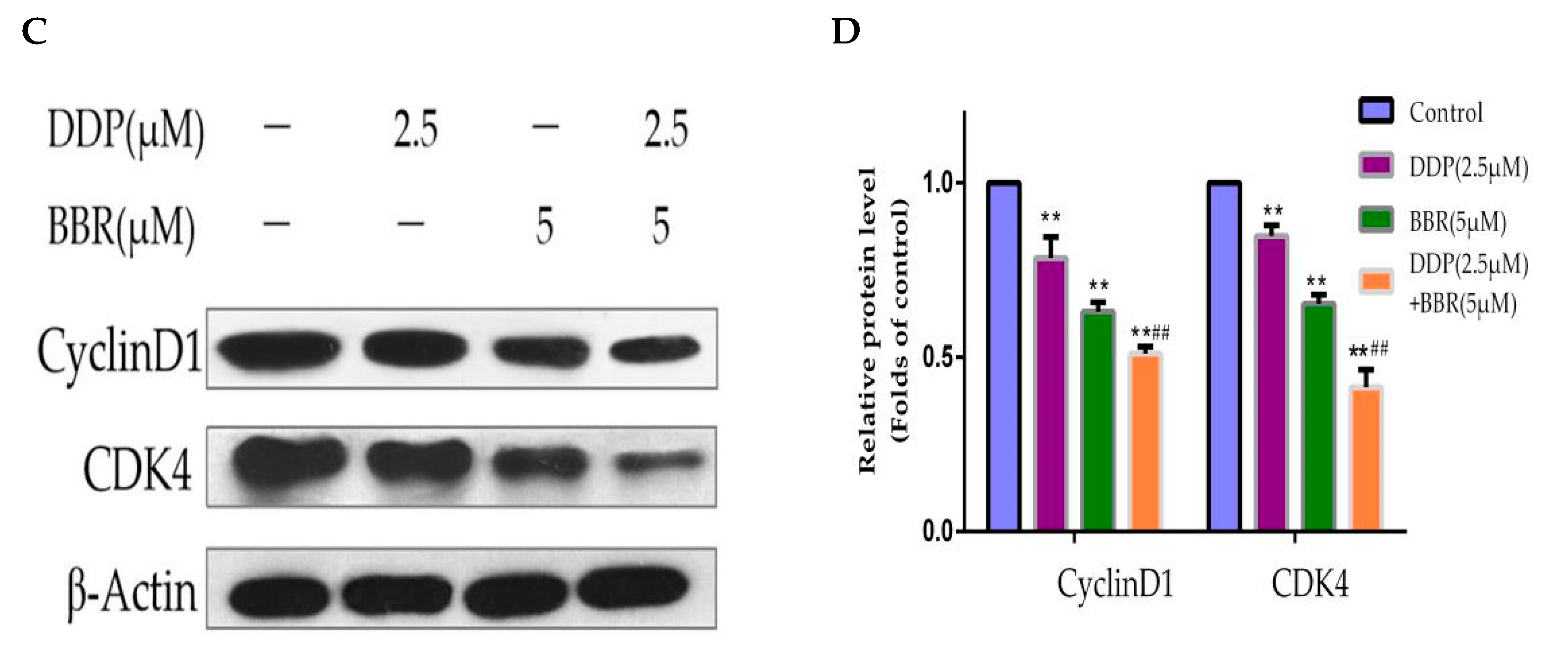 Molecules 26 01666 g005b