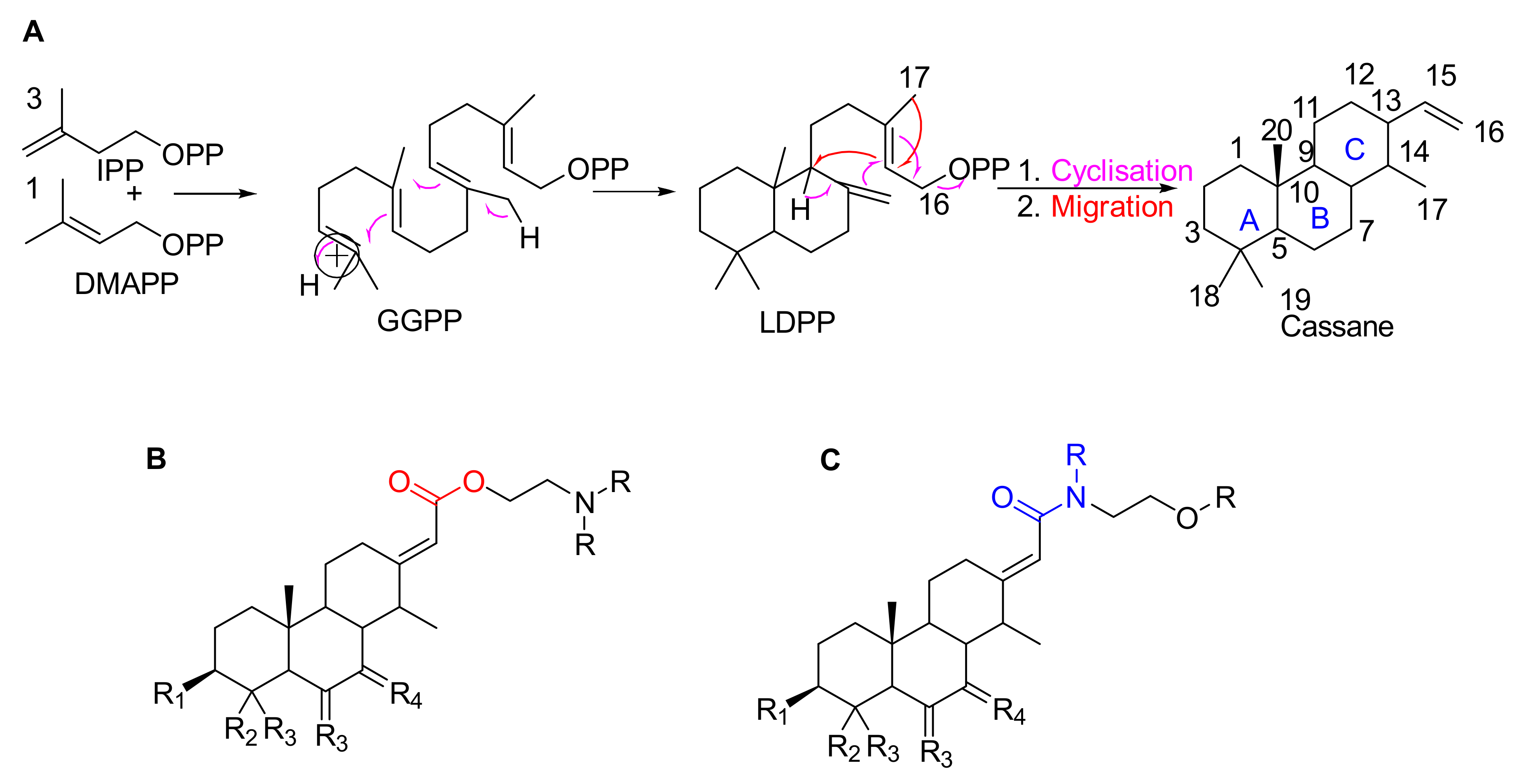 Molecules 26 01668 g001 Molecules 26 01668 g001