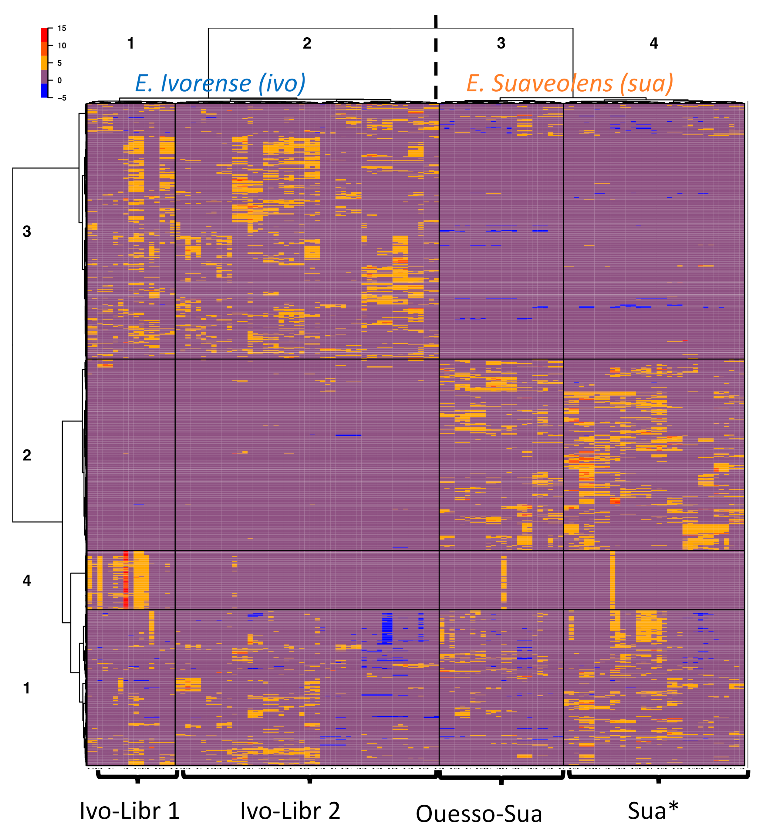 Molecules 26 01668 g003 Molecules 26 01668 g003