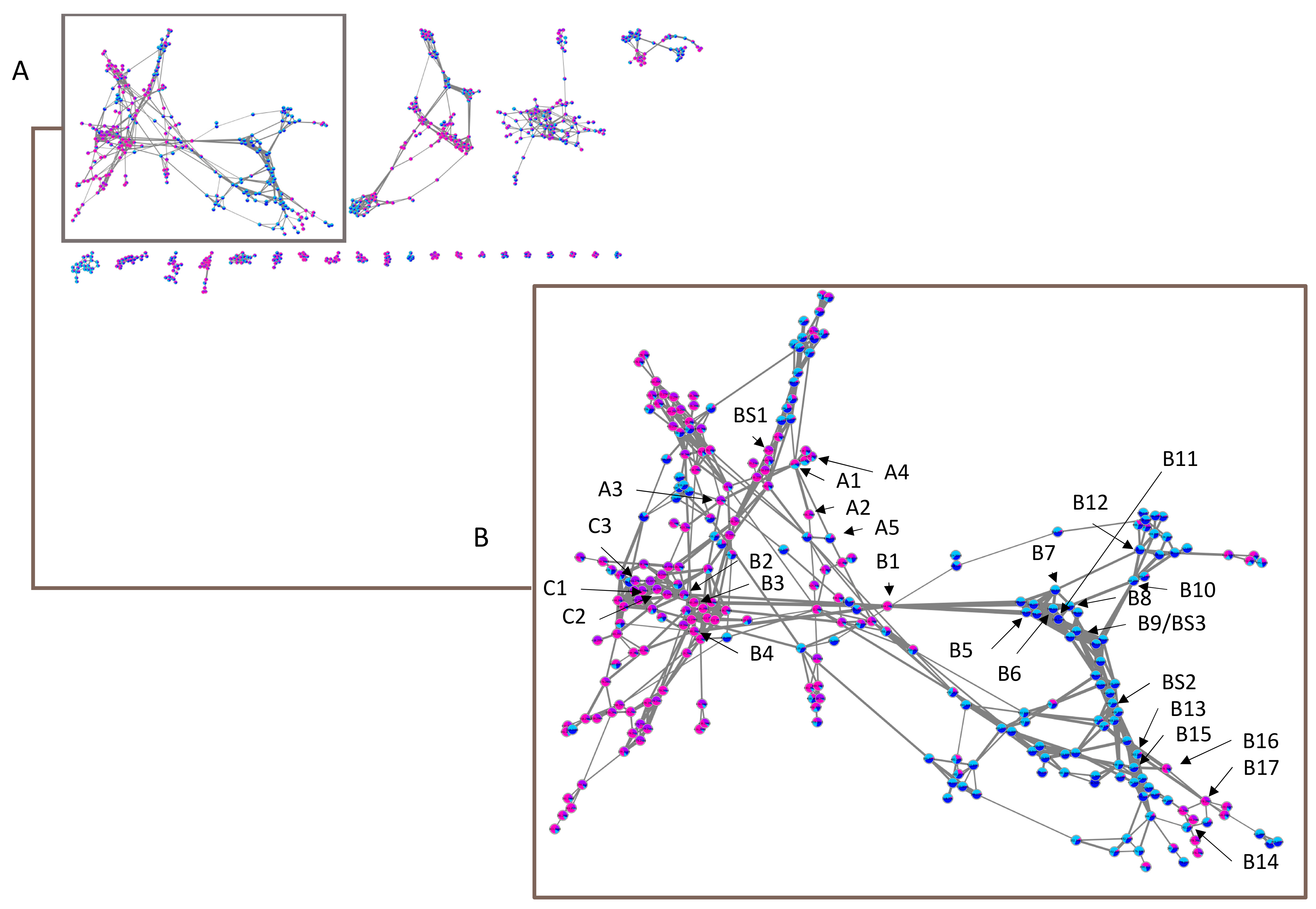 Molecules 26 01668 g005 Molecules 26 01668 g005