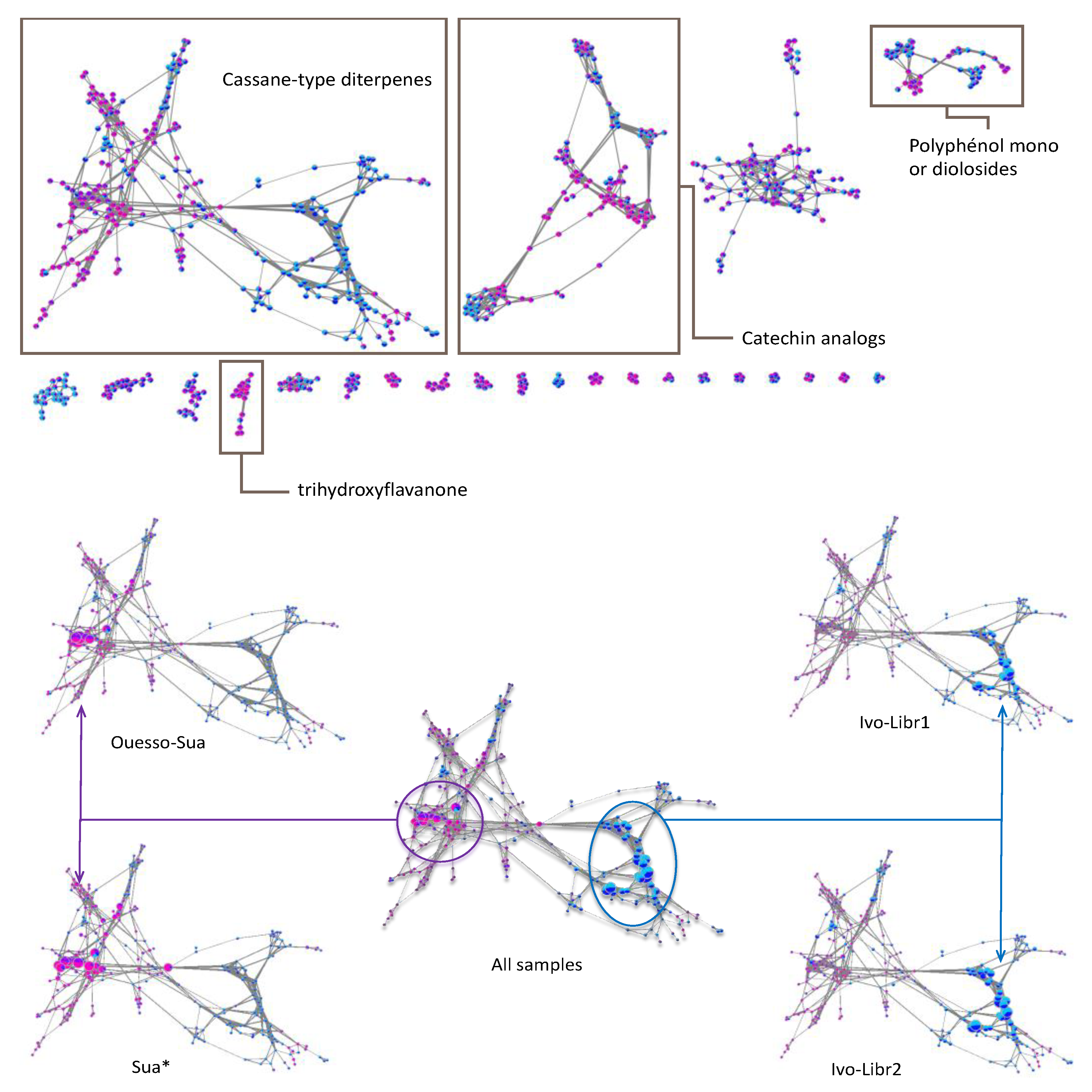 Molecules 26 01668 g006 Molecules 26 01668 g006
