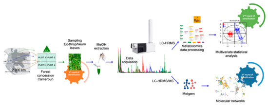 Molecules 26 01668 g007