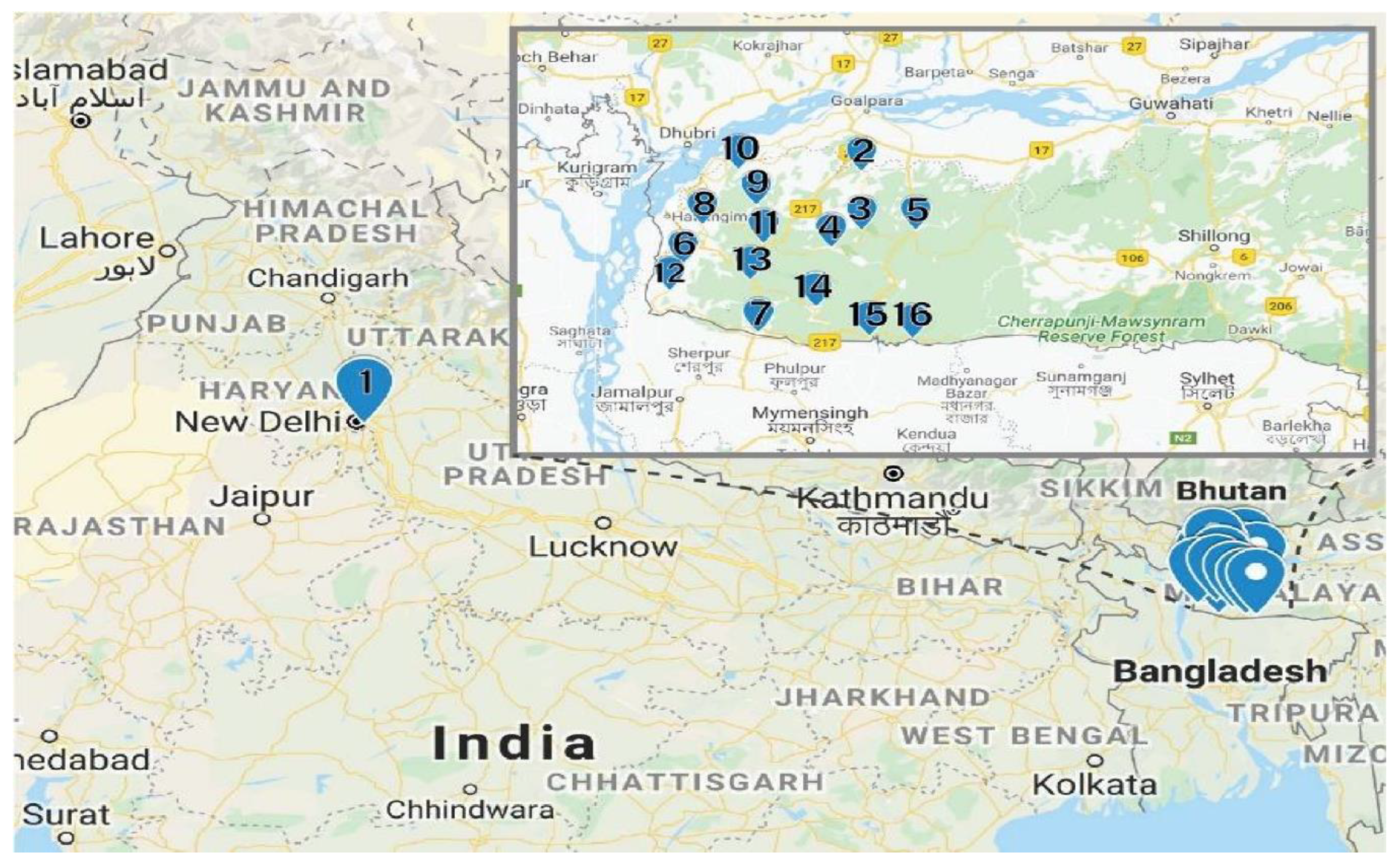 Molecules 26 01675 g004
