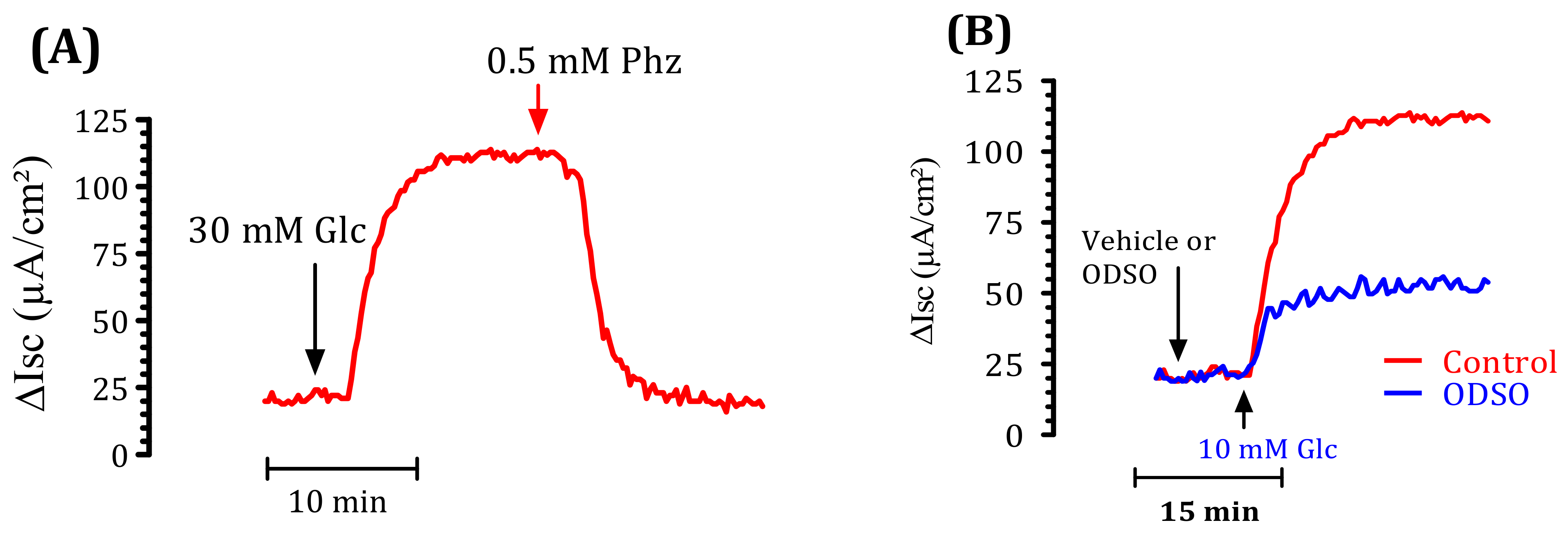 Molecules 26 01677 g005a