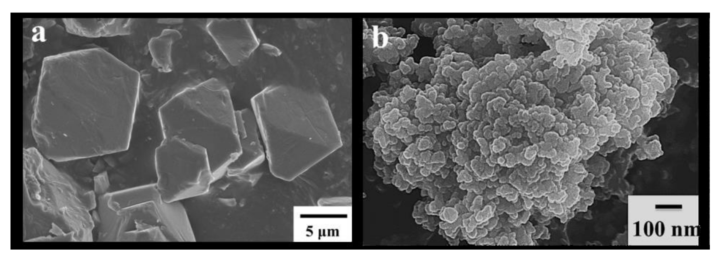 Molecules 26 01680 g005 Molecules 26 01680 g005