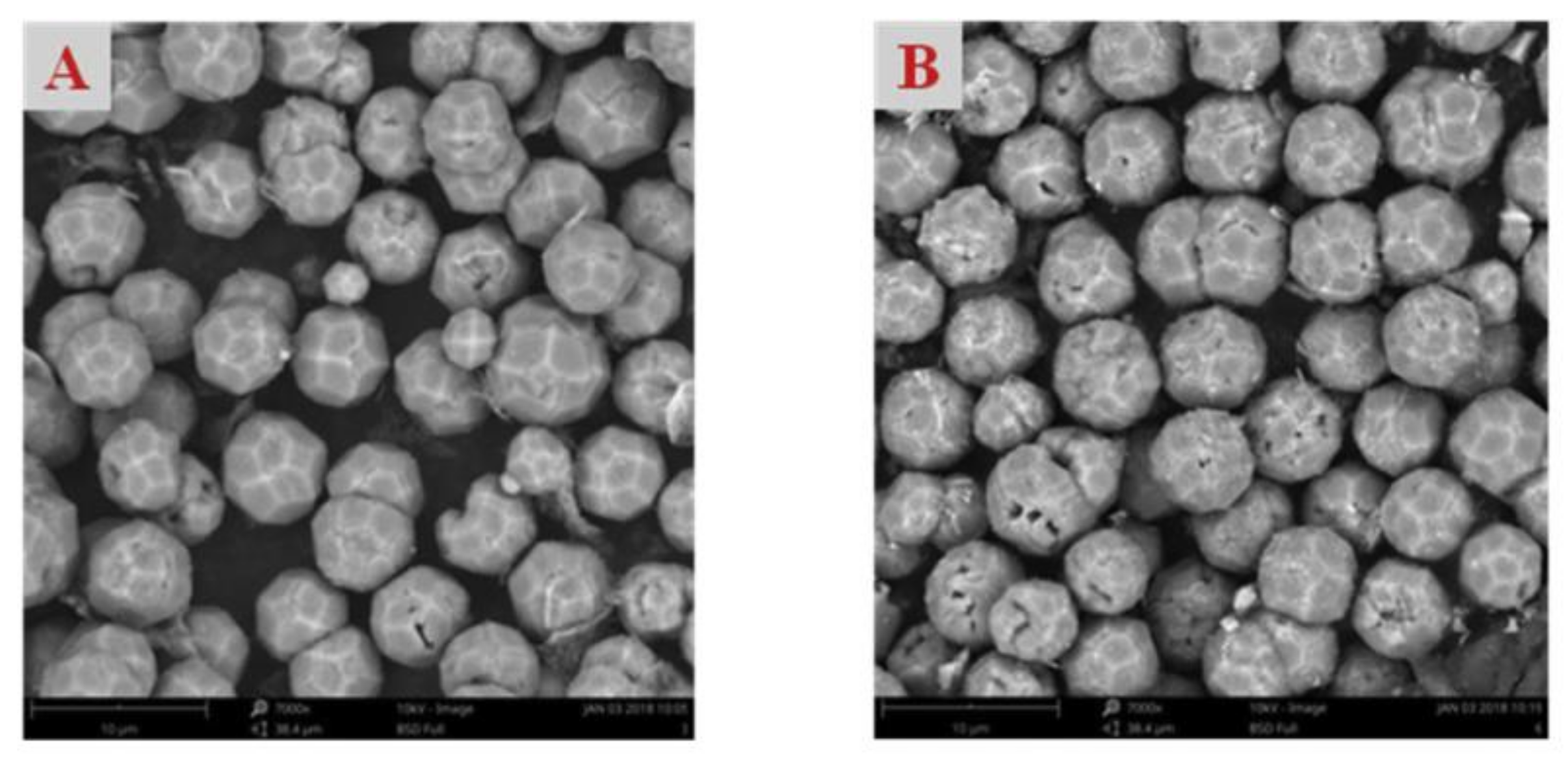 Molecules 26 01680 g011 Molecules 26 01680 g011