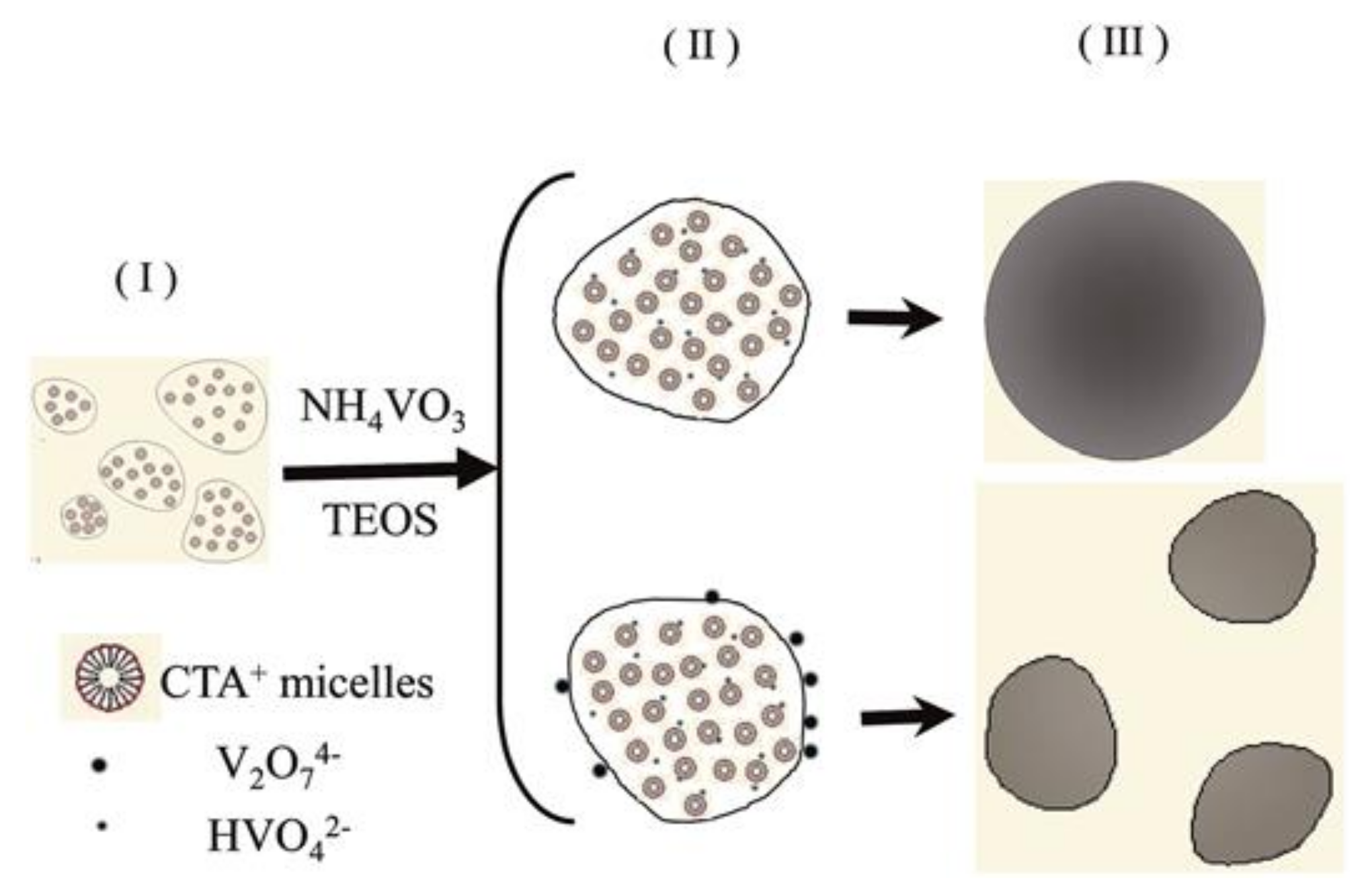 Molecules 26 01680 sch012 Molecules 26 01680 sch012