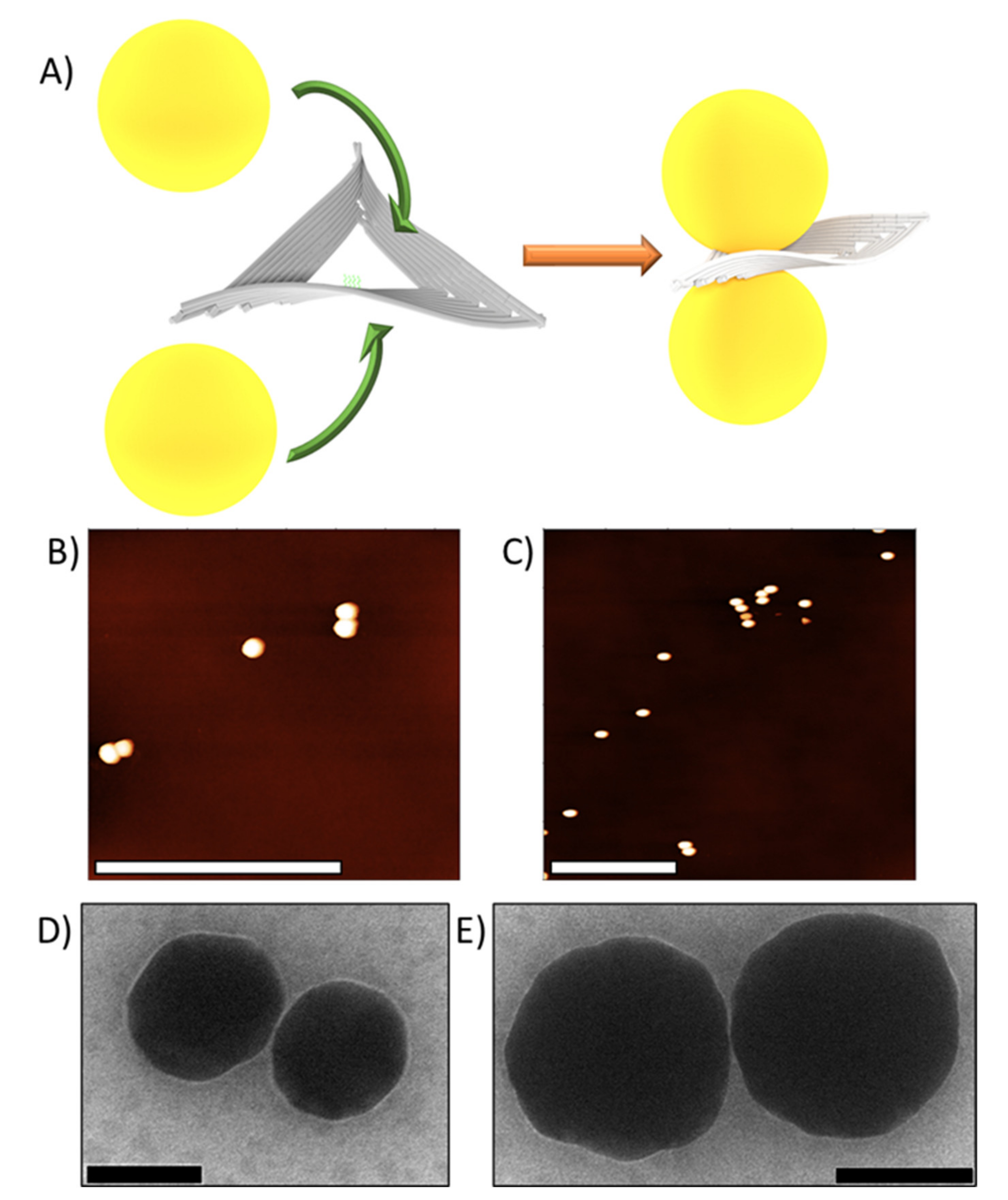 Molecules 26 01684 g002