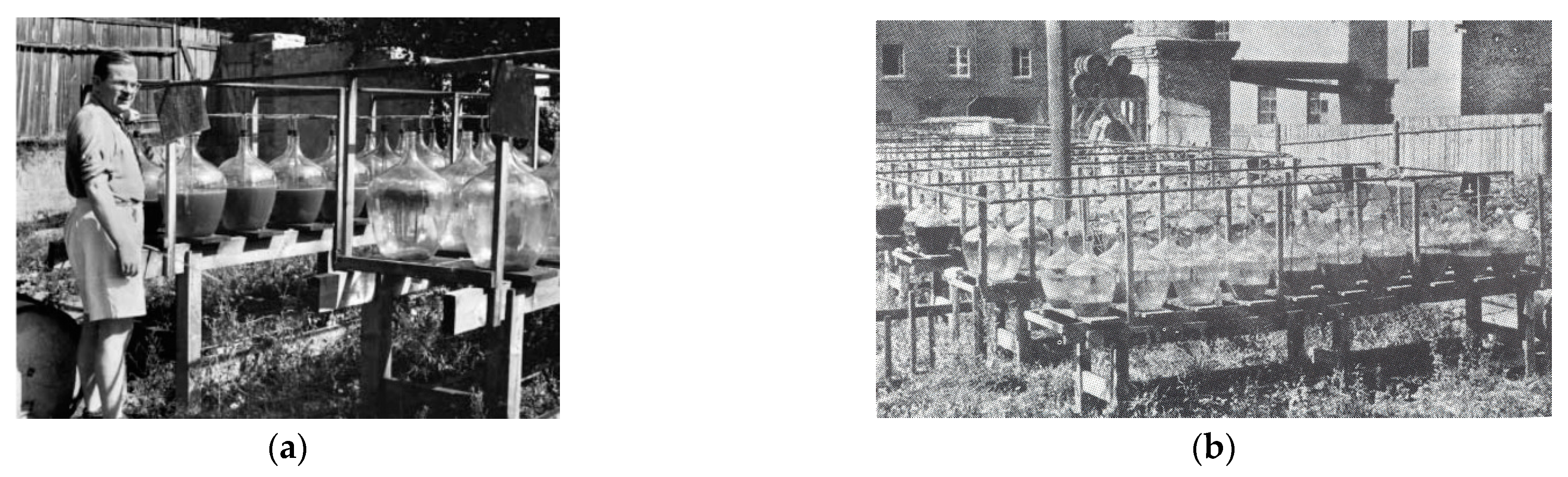 Molecules 26 01685 g002 Molecules 26 01685 g002