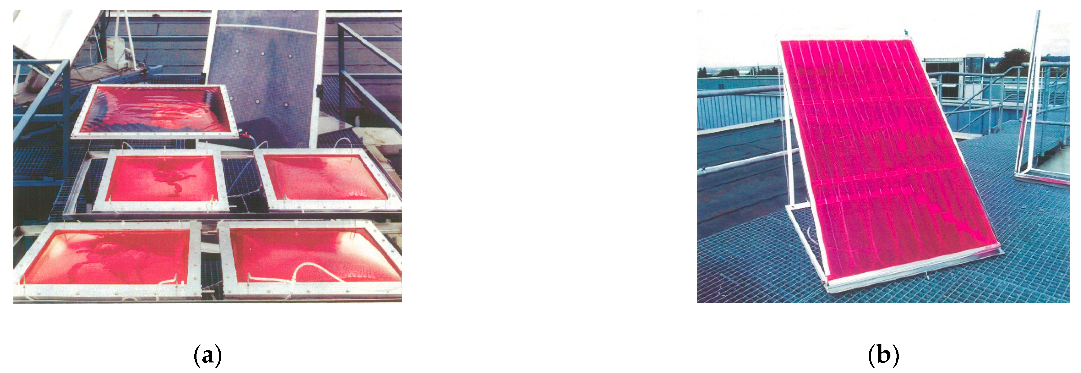 Molecules 26 01685 g004 Molecules 26 01685 g004