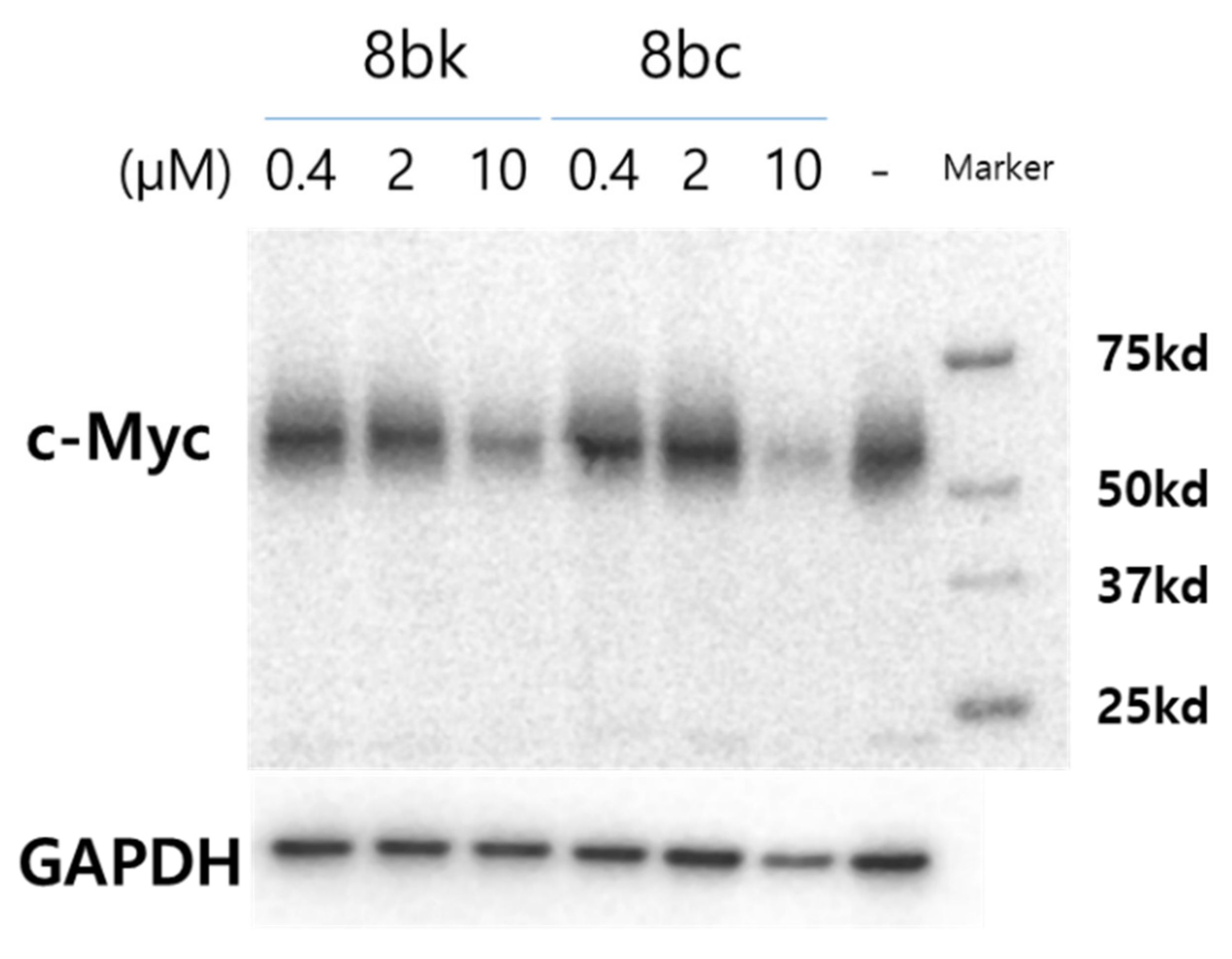 Molecules 26 01686 g003