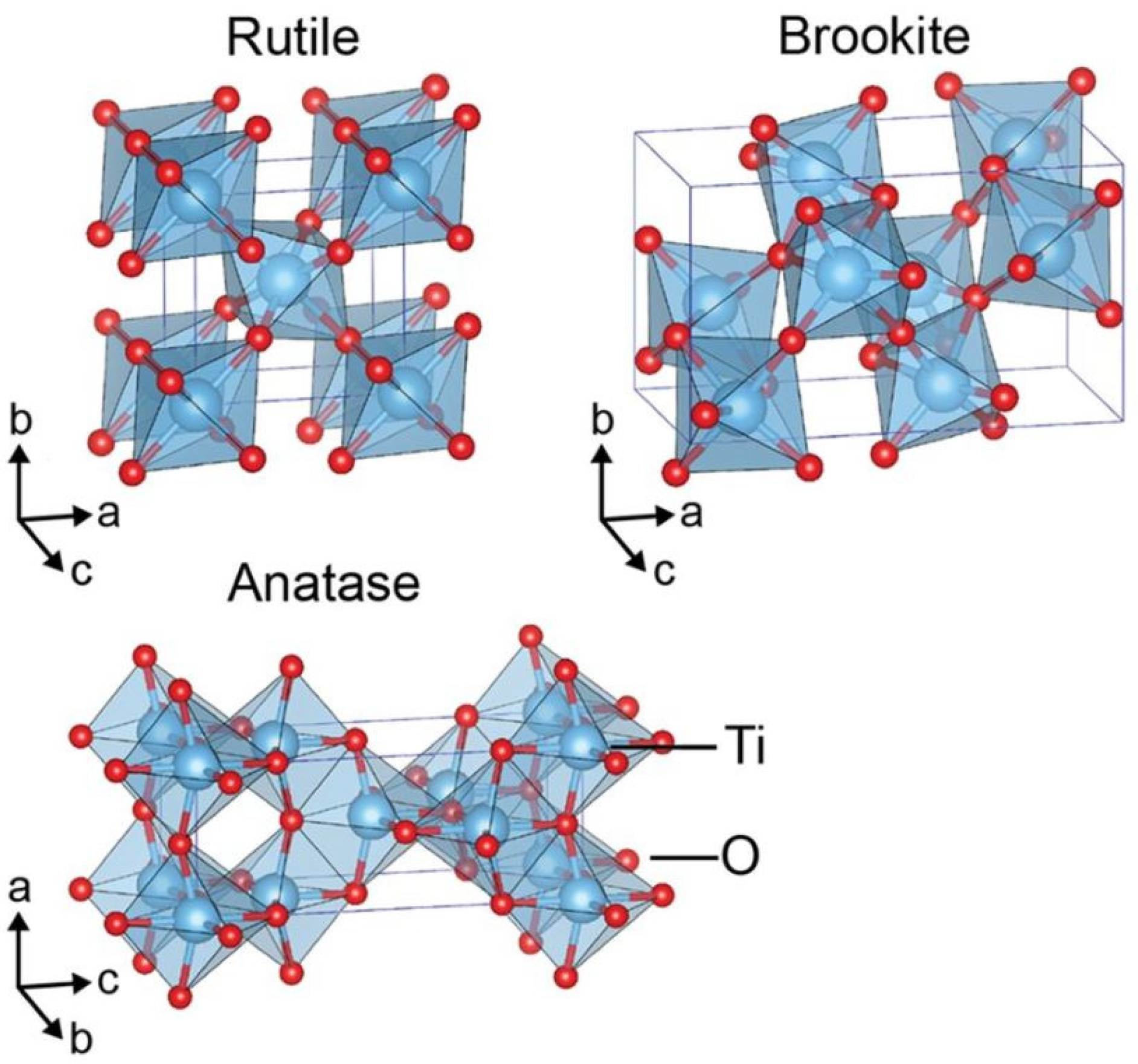Molecules 26 01687 g001