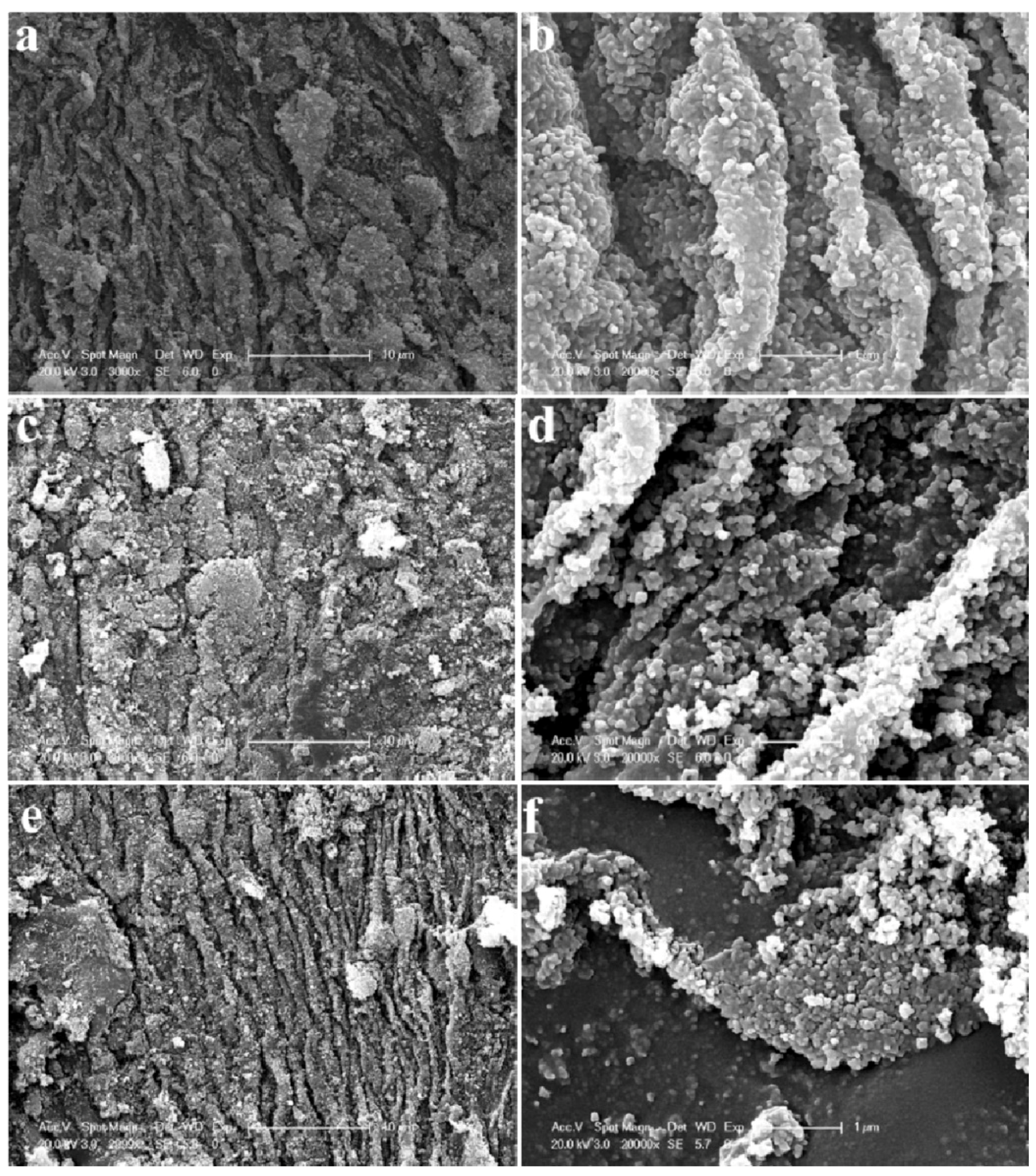 Molecules 26 01687 g008