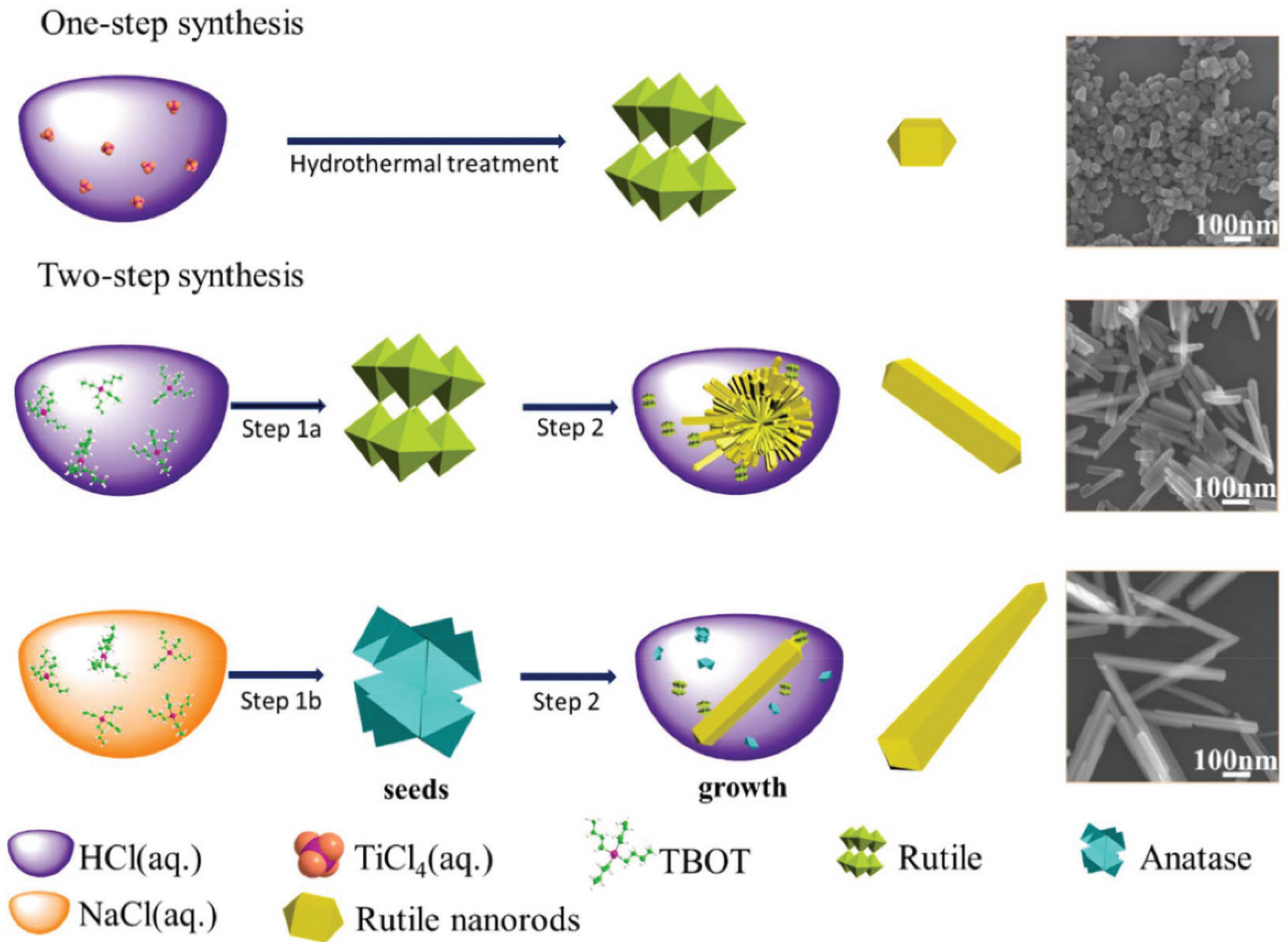 Molecules 26 01687 g009
