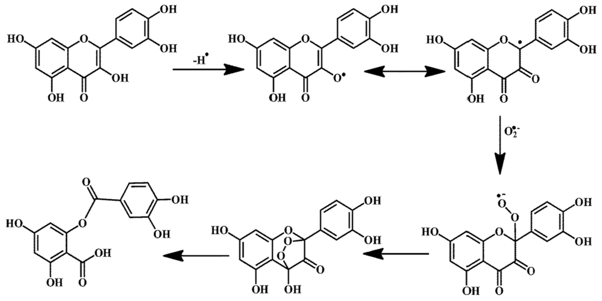 Molecules 26 01698 g003