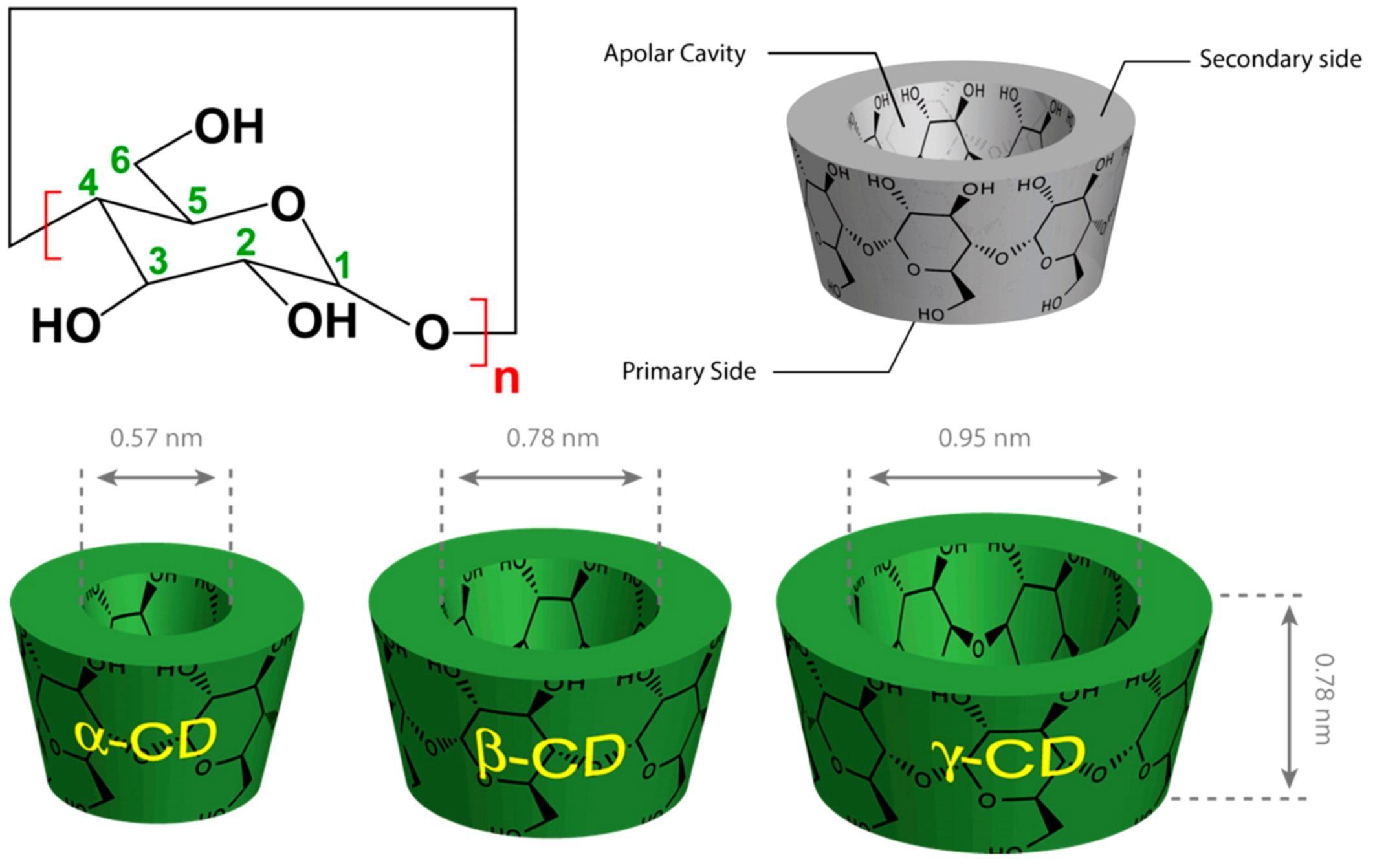 Molecules 26 01698 g005