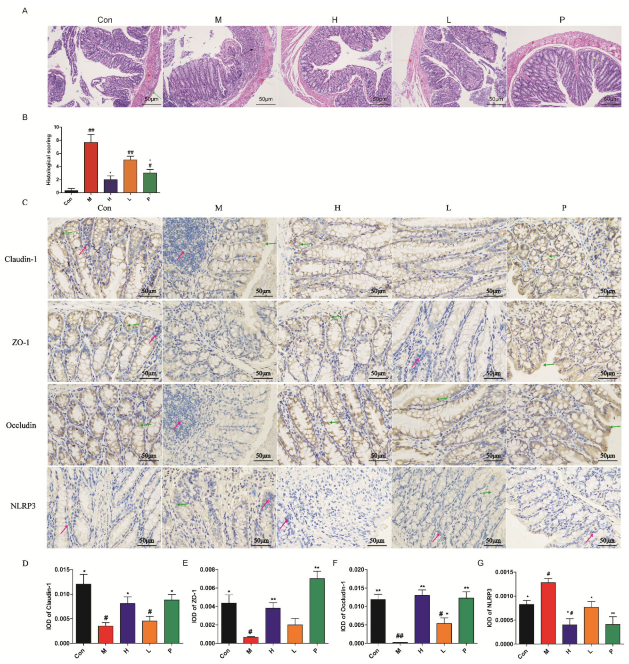 Molecules 26 01718 g006