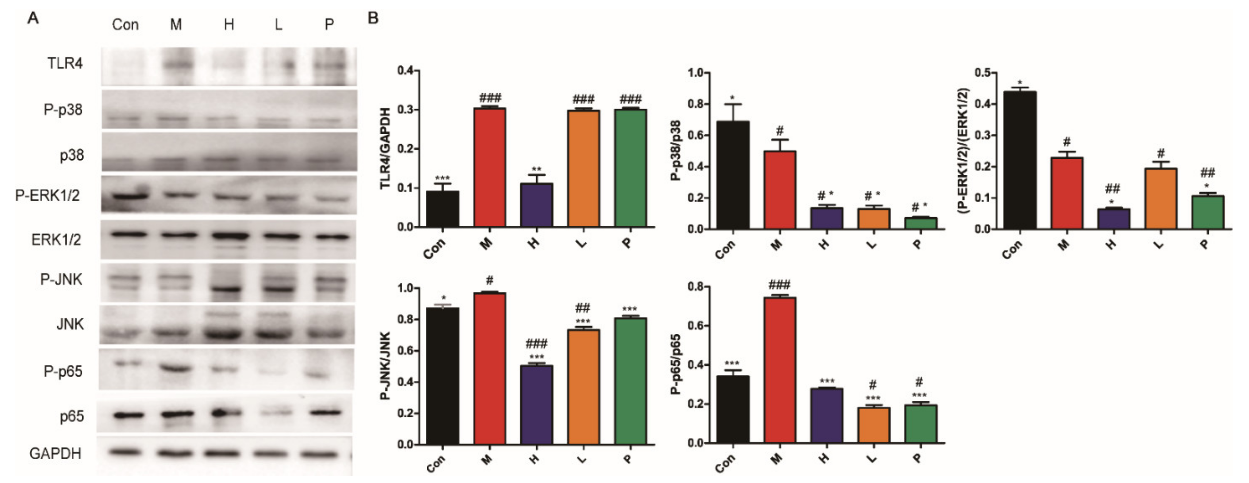 Molecules 26 01718 g008