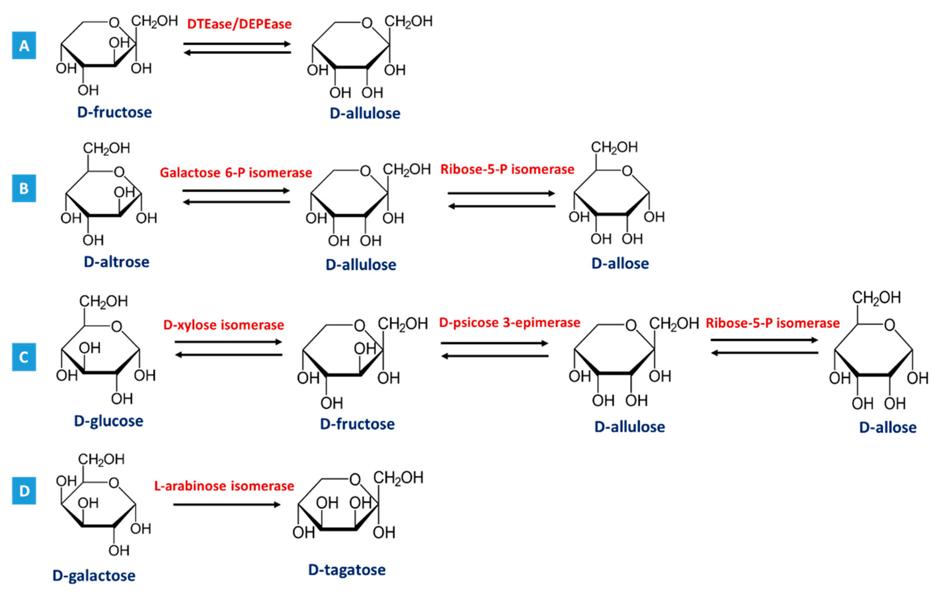 Molecules 26 01720 g002 Molecules 26 01720 g002