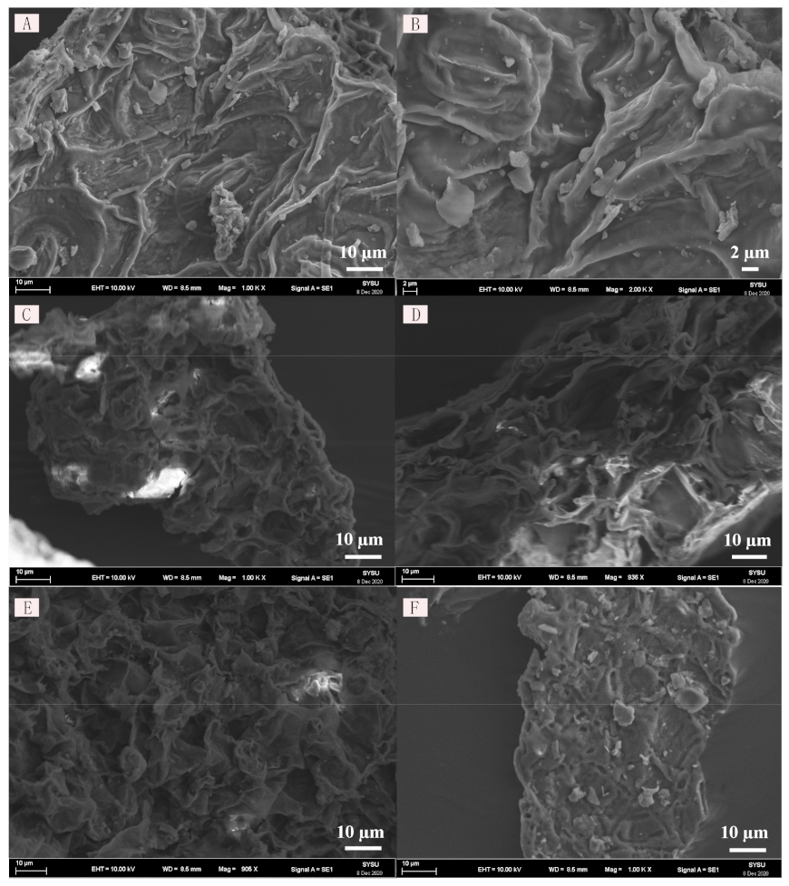 Molecules 26 01729 g003 Molecules 26 01729 g003