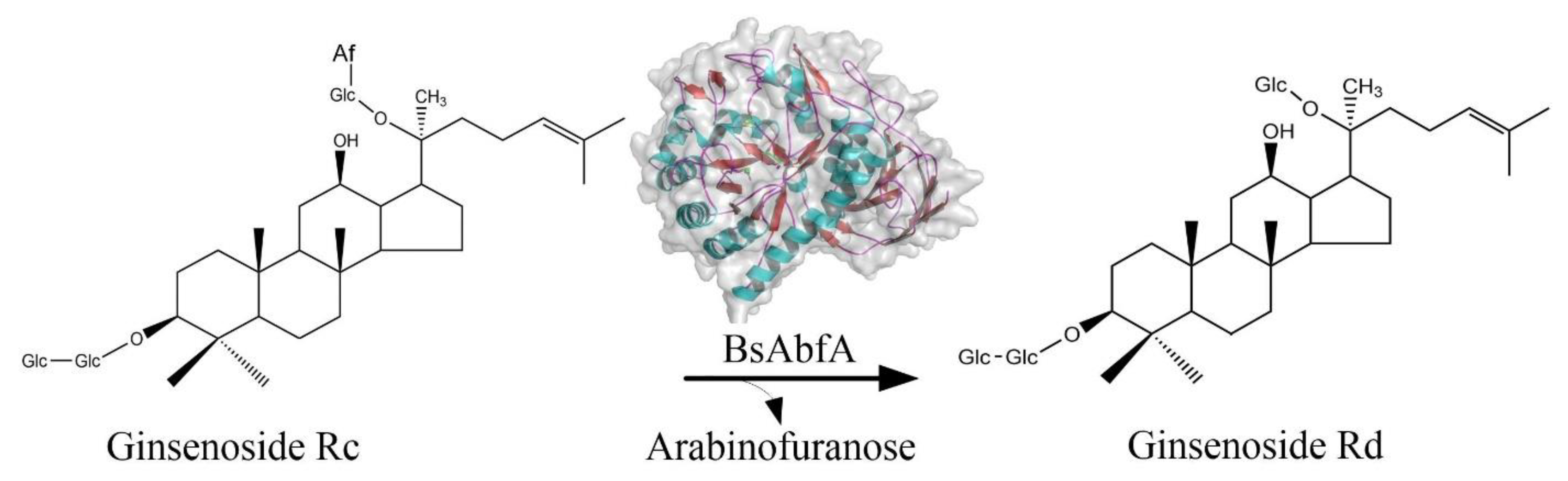 Molecules 26 01733 g002