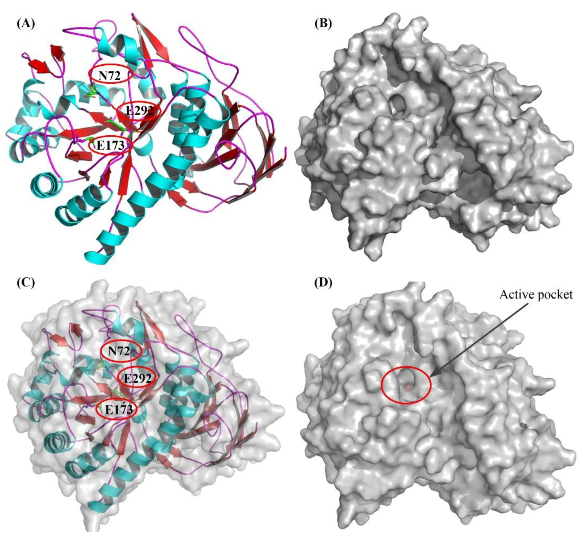 Molecules 26 01733 g007