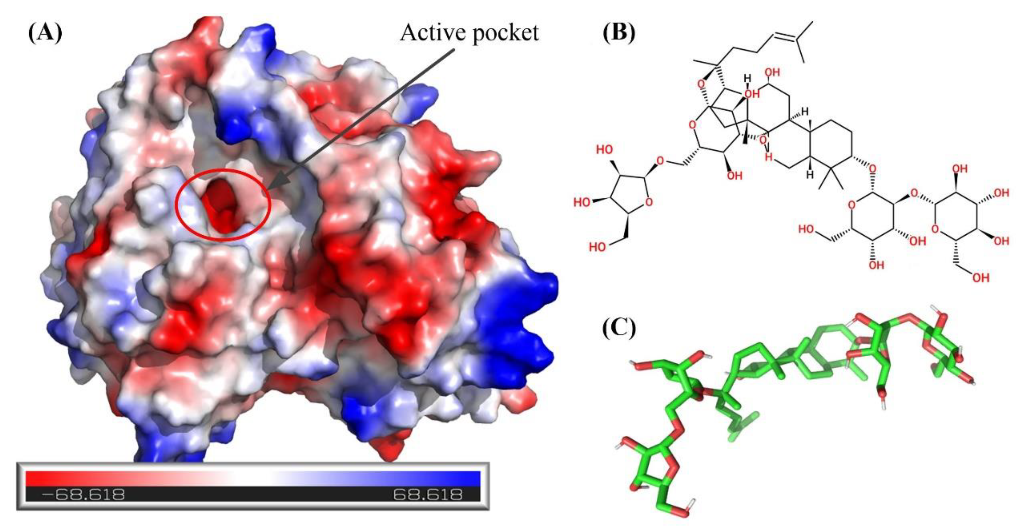 Molecules 26 01733 g008