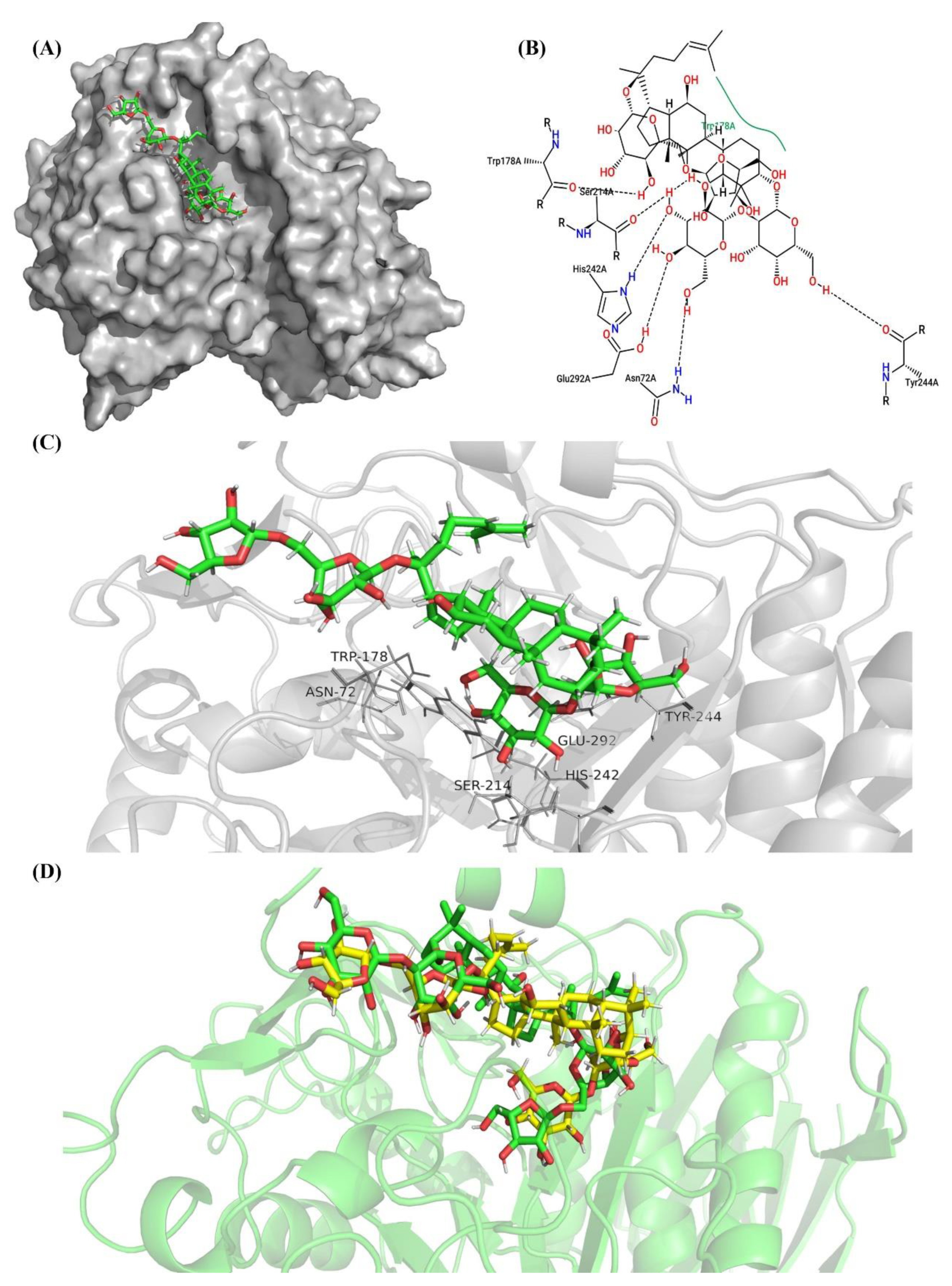 Molecules 26 01733 g011