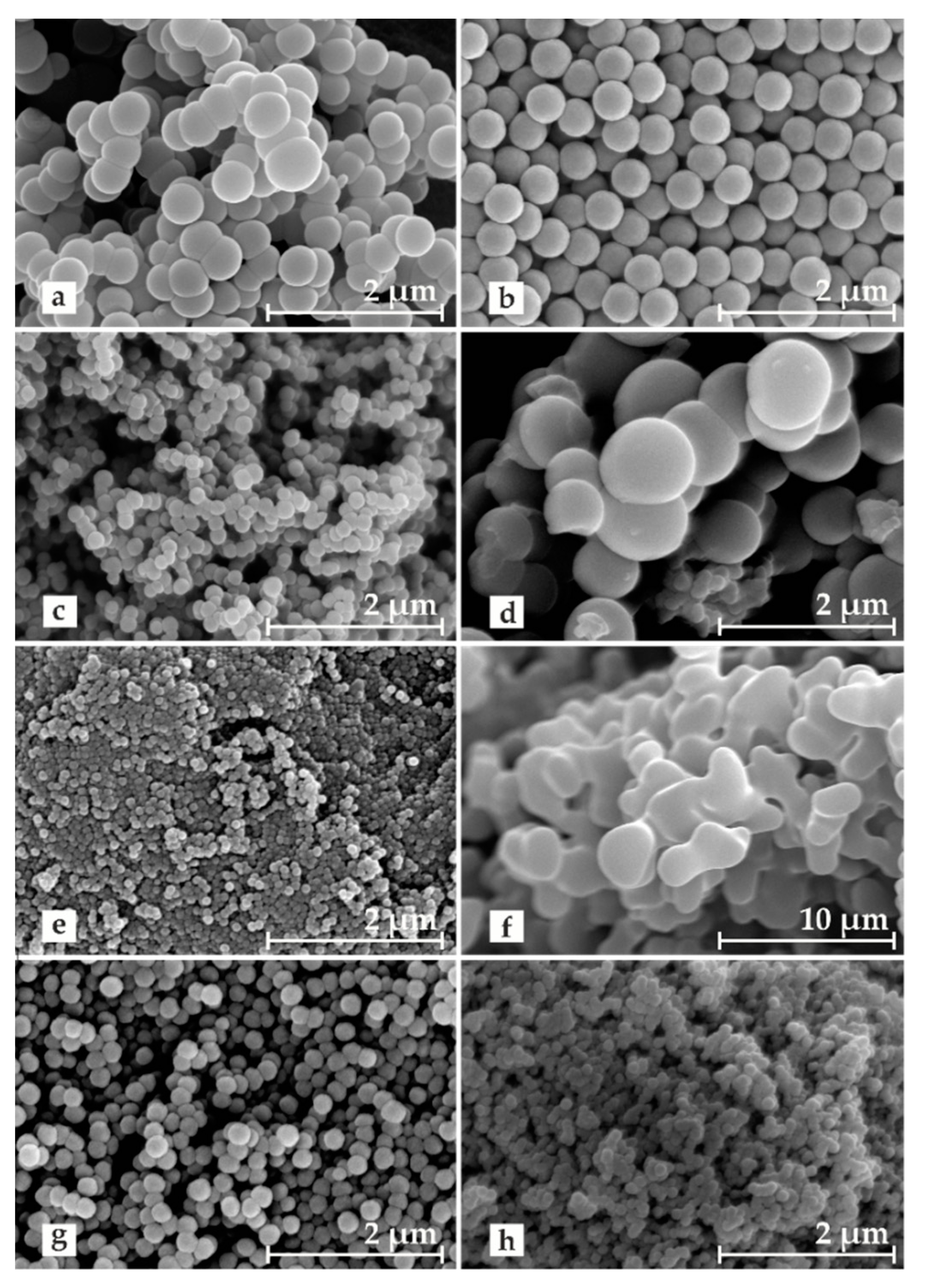 Molecules 26 01736 g001 Molecules 26 01736 g001