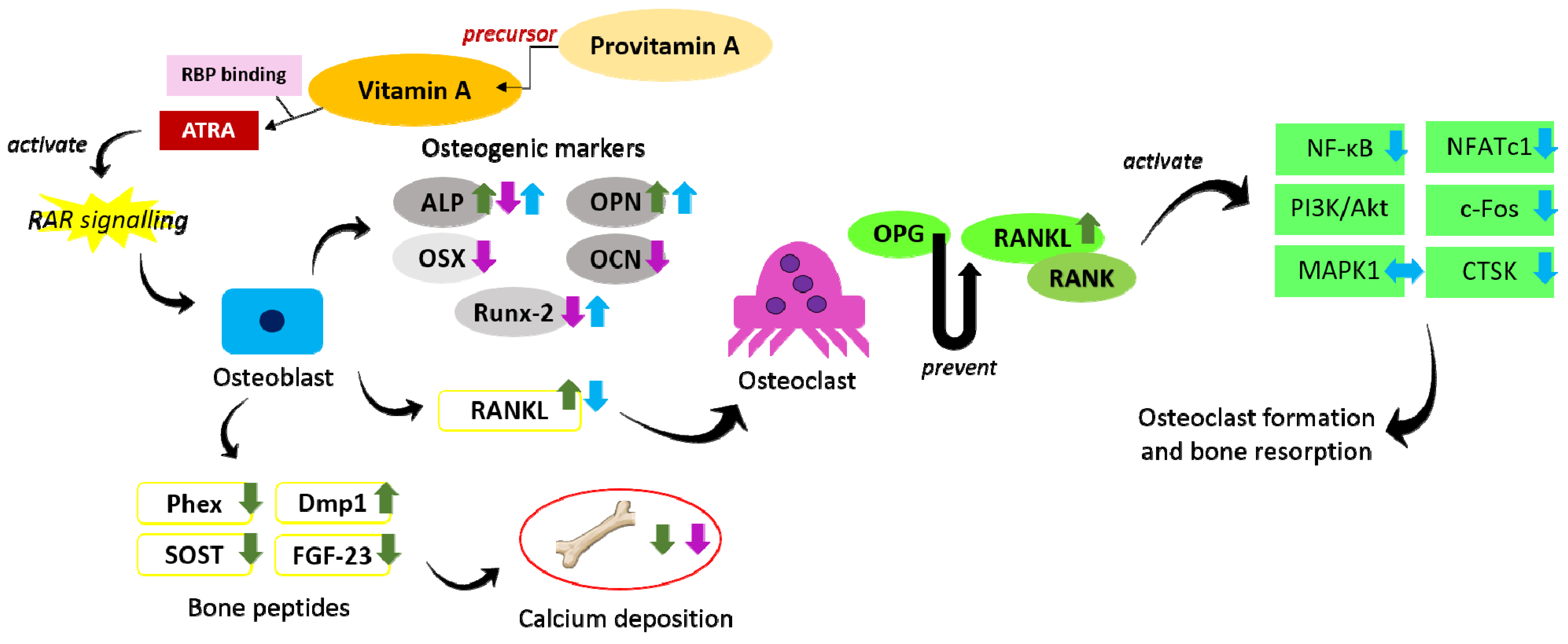 Molecules 26 01757 g001